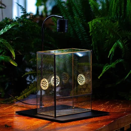 Handmade Close Glass Terrarium with Vents, with LED Grow Light Set, FOR insects, bugs - NCYPgarden