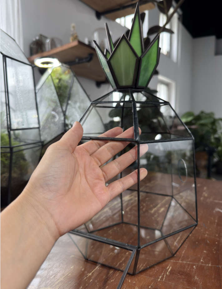 custommade terrarium for Sarah - NCYPgarden