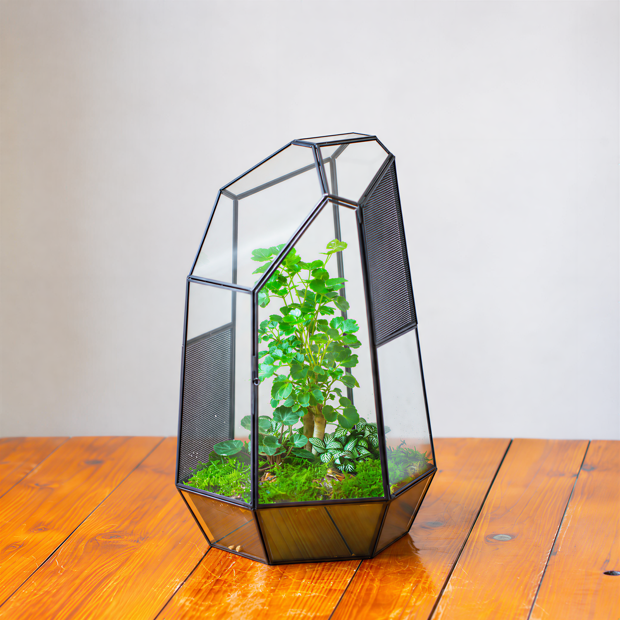 Handmade Tall IrregularGlass Geometric Terrarium Box with Vent - NCYPgarden