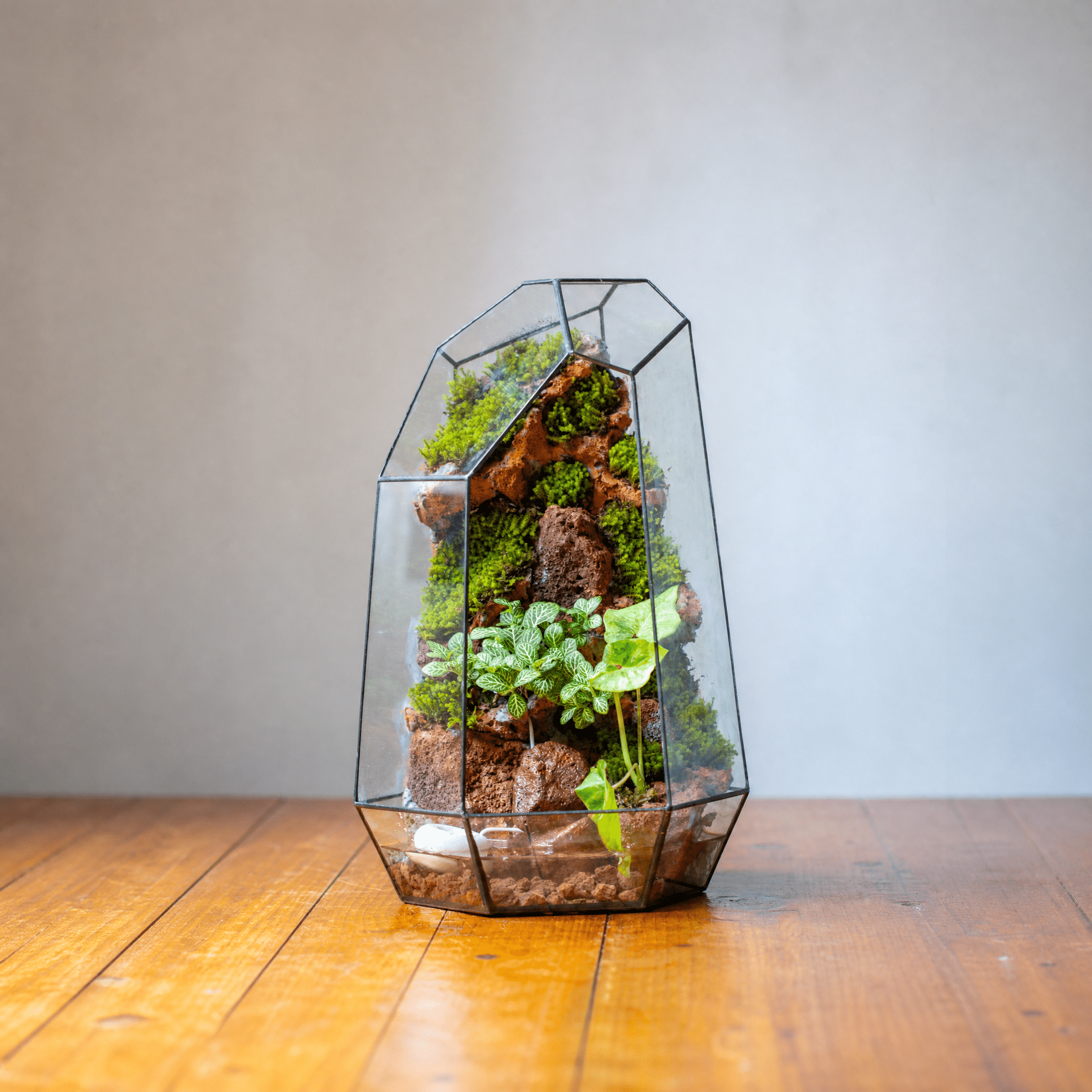 Handmade Extra Large Tall Irregular Glass Geometric Terrarium，Open, Waterproof, with Wire hole - NCYPgarden
