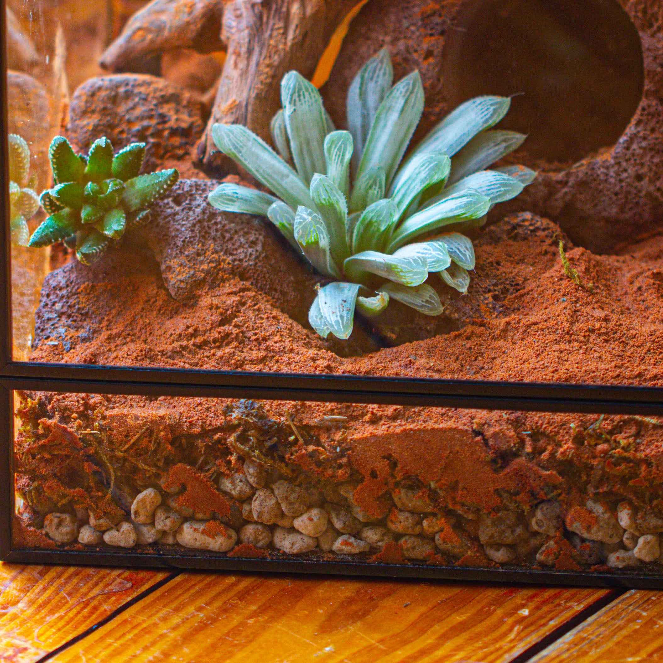 Grey White Horticultural Lava Rock Volcanic Rock - NCYPgarden