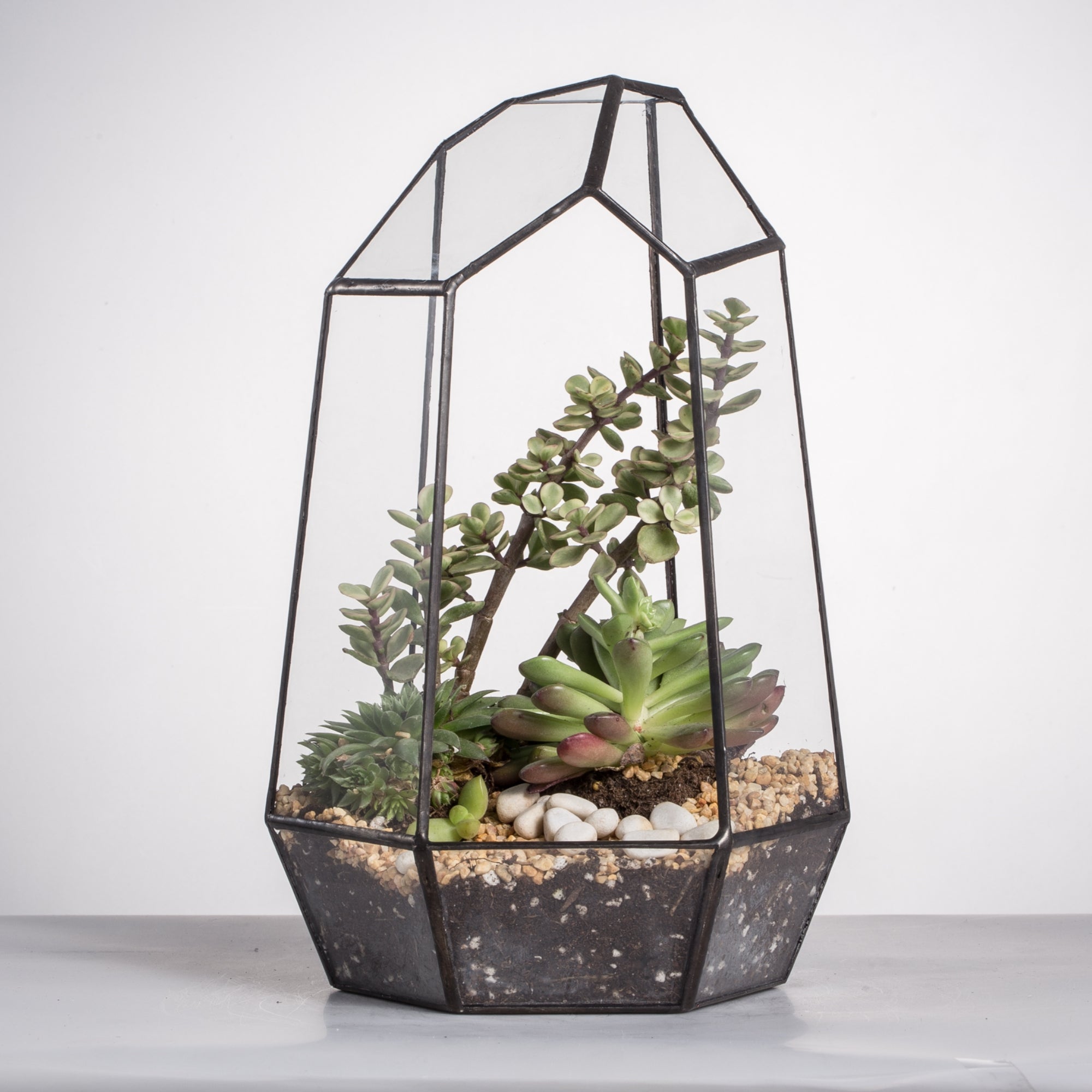 Handmade Irregular Tall Black Glass Geometric Terrarium Various Size for Succulents Moss Airplants - NCYPgarden