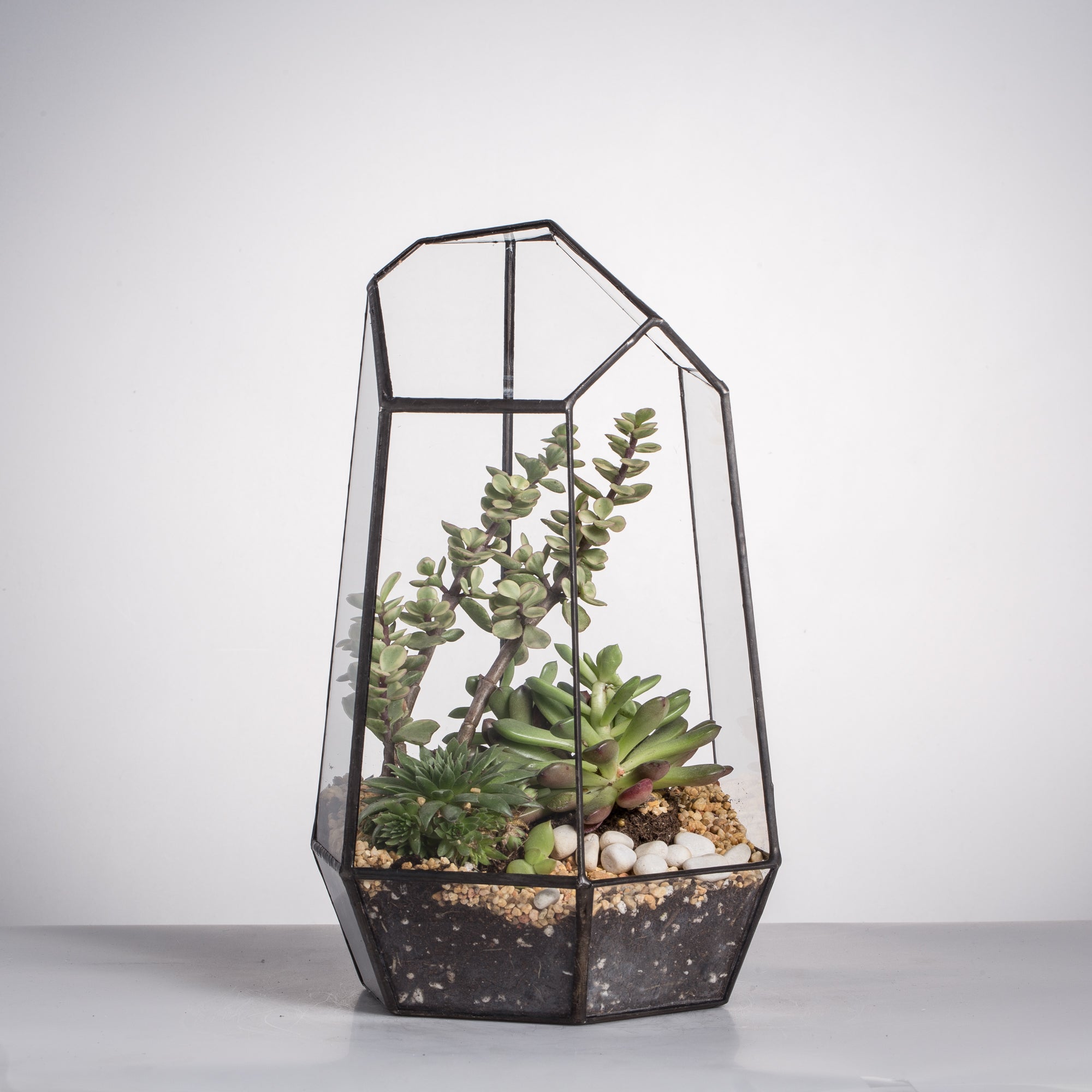 Handmade Irregular Tall Black Glass Geometric Terrarium Various Size for Succulents Moss Airplants - NCYPgarden