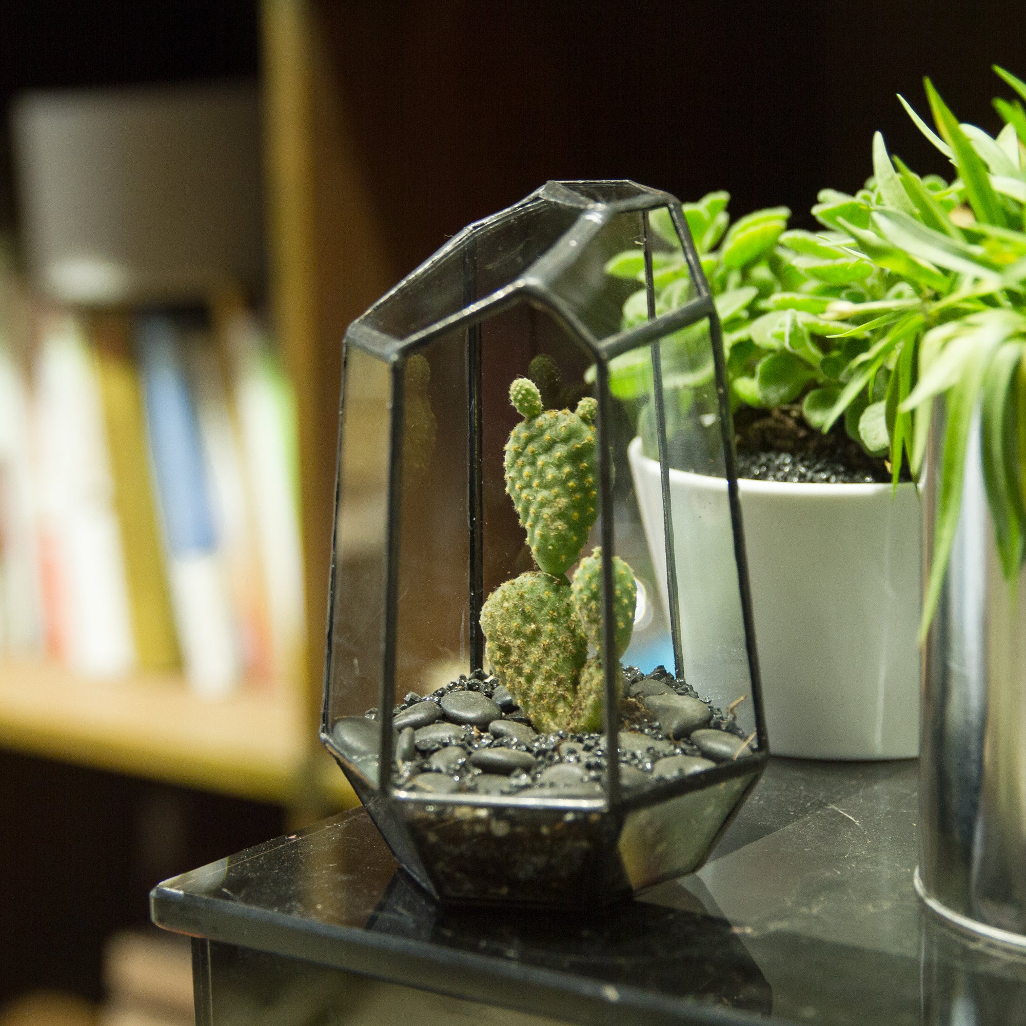 Handmade Irregular Tall Black Glass Geometric Terrarium for Succulents Moss Airplants-small PG01A1 - NCYPgarden