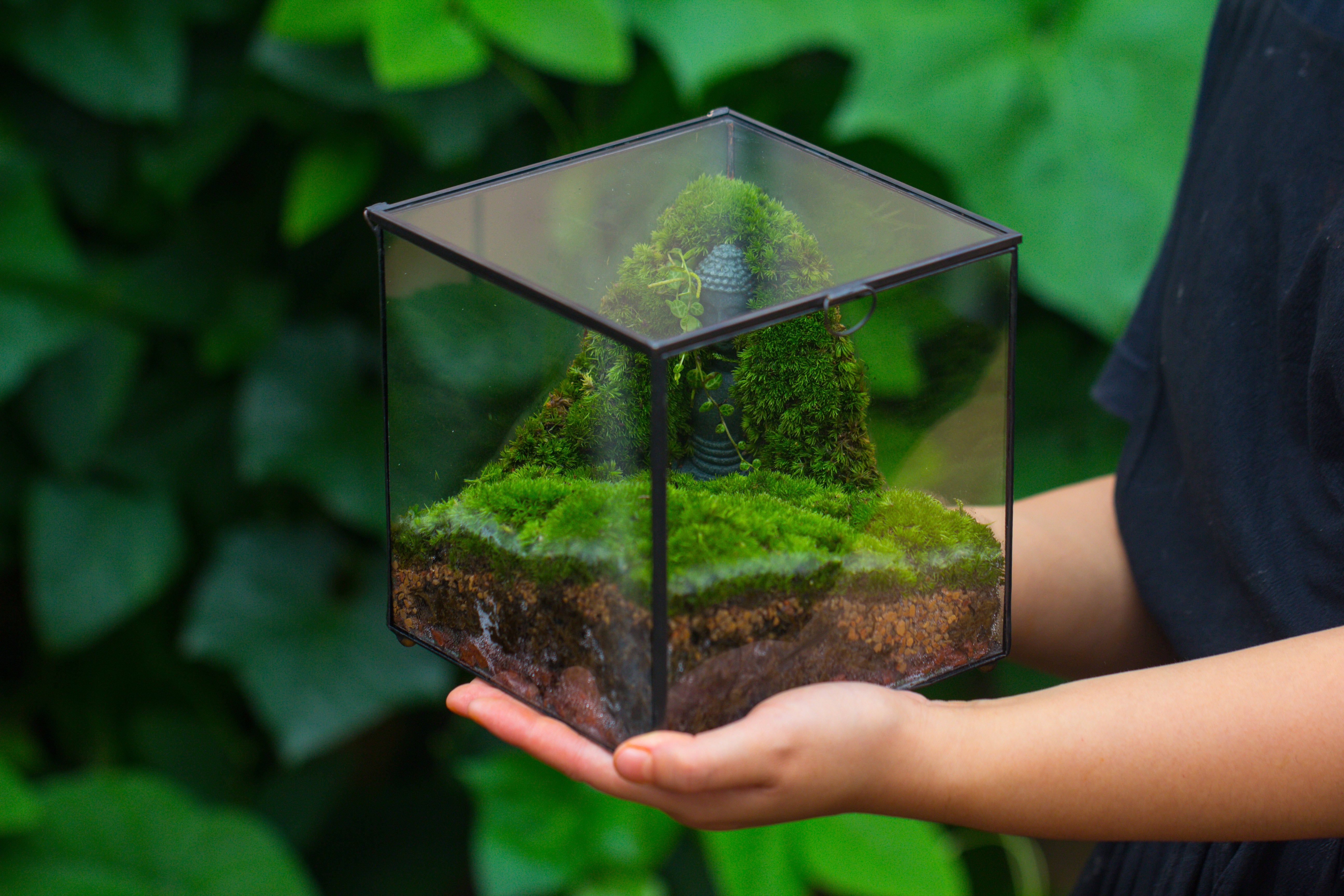 NCYP Close Geometric Glass Terrarium with Door, Tin Sealed Cube 5.9 inches Planter Succulent Cacti Fern Flower Pot - NCYPgarden