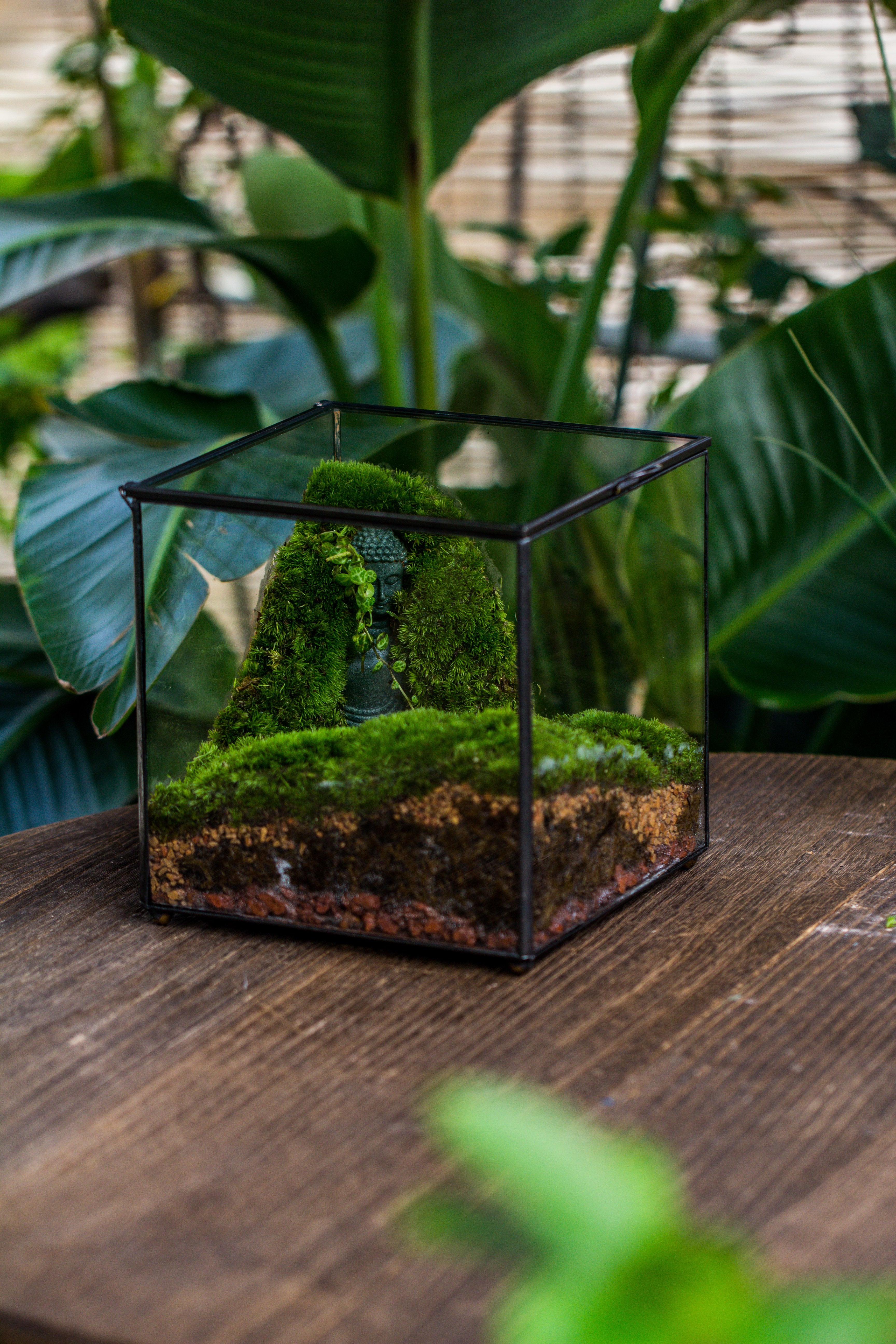 NCYP Close Geometric Glass Terrarium with Door, Tin Sealed Cube 5.9 inches Planter Succulent Cacti Fern Flower Pot - NCYPgarden