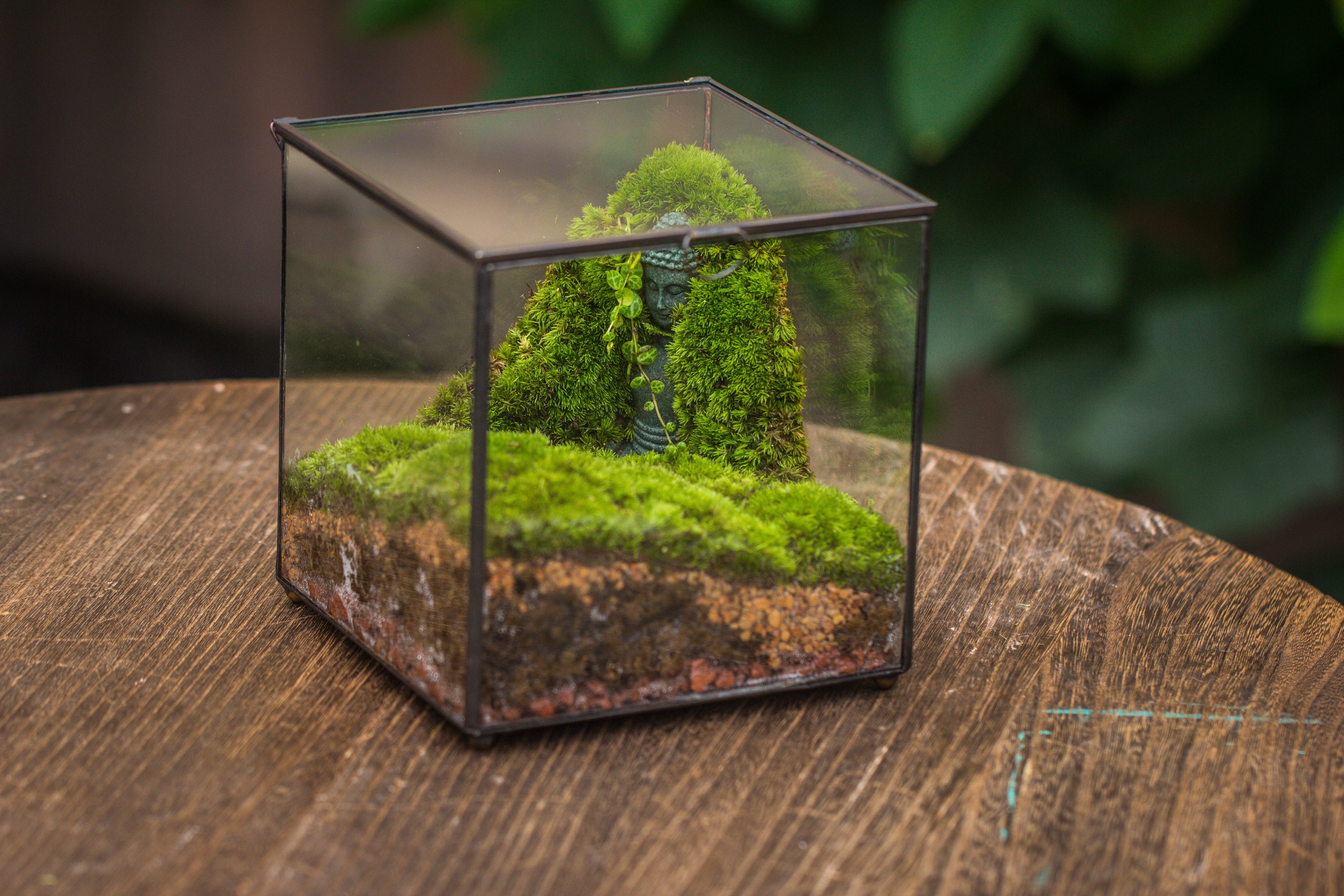 NCYP Close Geometric Glass Terrarium with Door, Tin Sealed Cube 5.9 inches Planter Succulent Cacti Fern Flower Pot - NCYPgarden