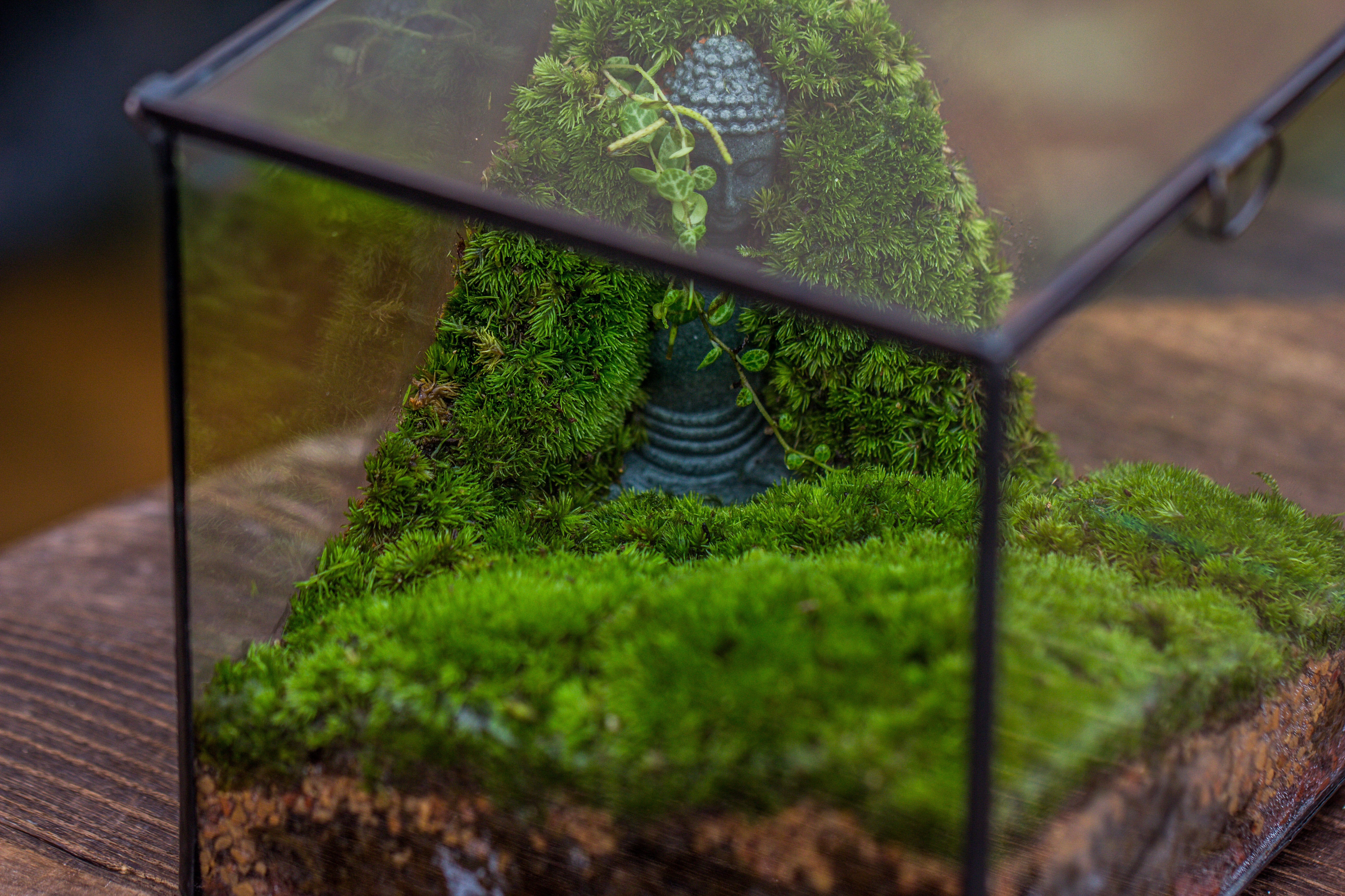 NCYP Close Geometric Glass Terrarium with Door, Tin Sealed Cube 5.9 inches Planter Succulent Cacti Fern Flower Pot - NCYPgarden