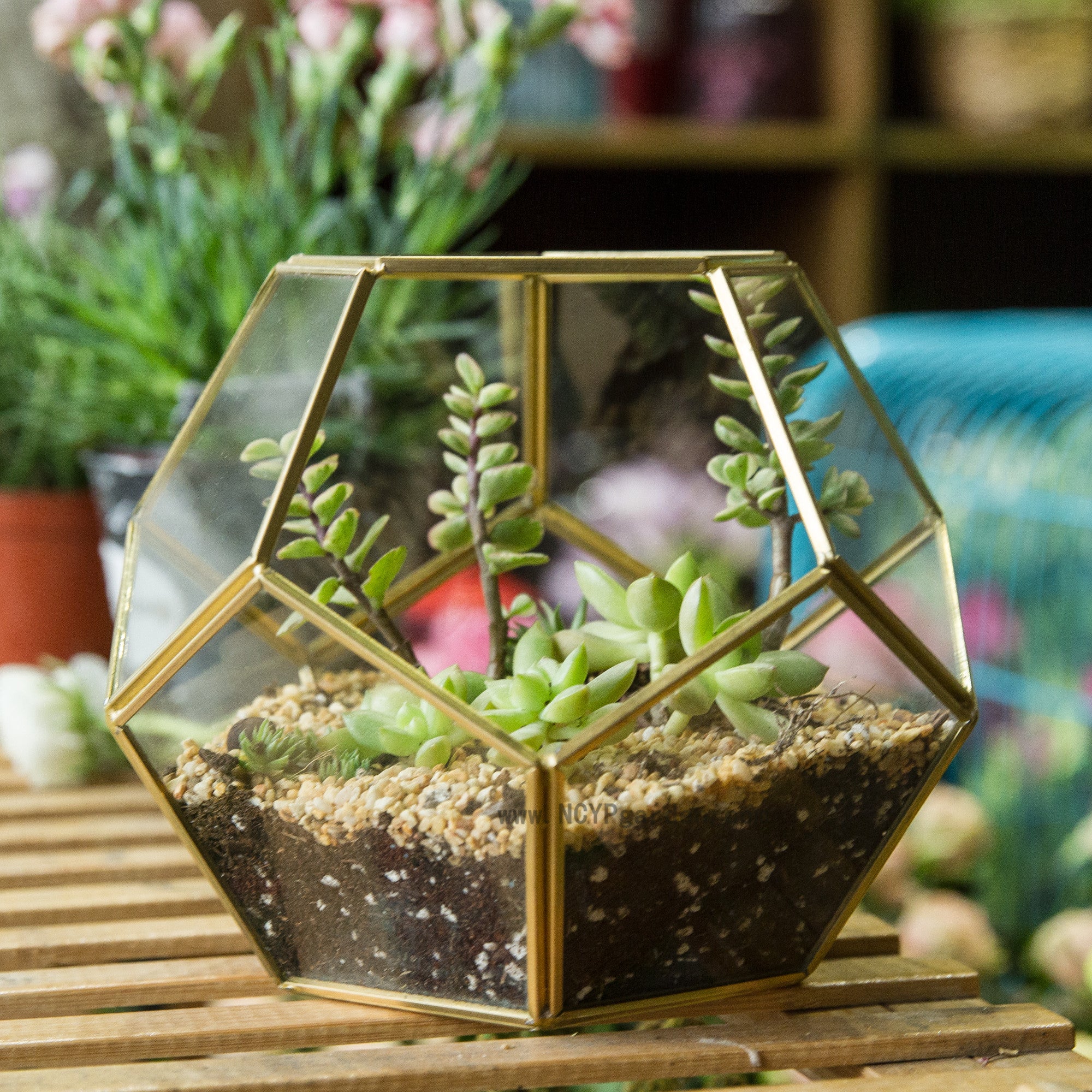 Handmade Gold Tabletop Polyhedron Glass Geometric Terrarium for Wedding Section Reception PP02A2 - NCYPgarden