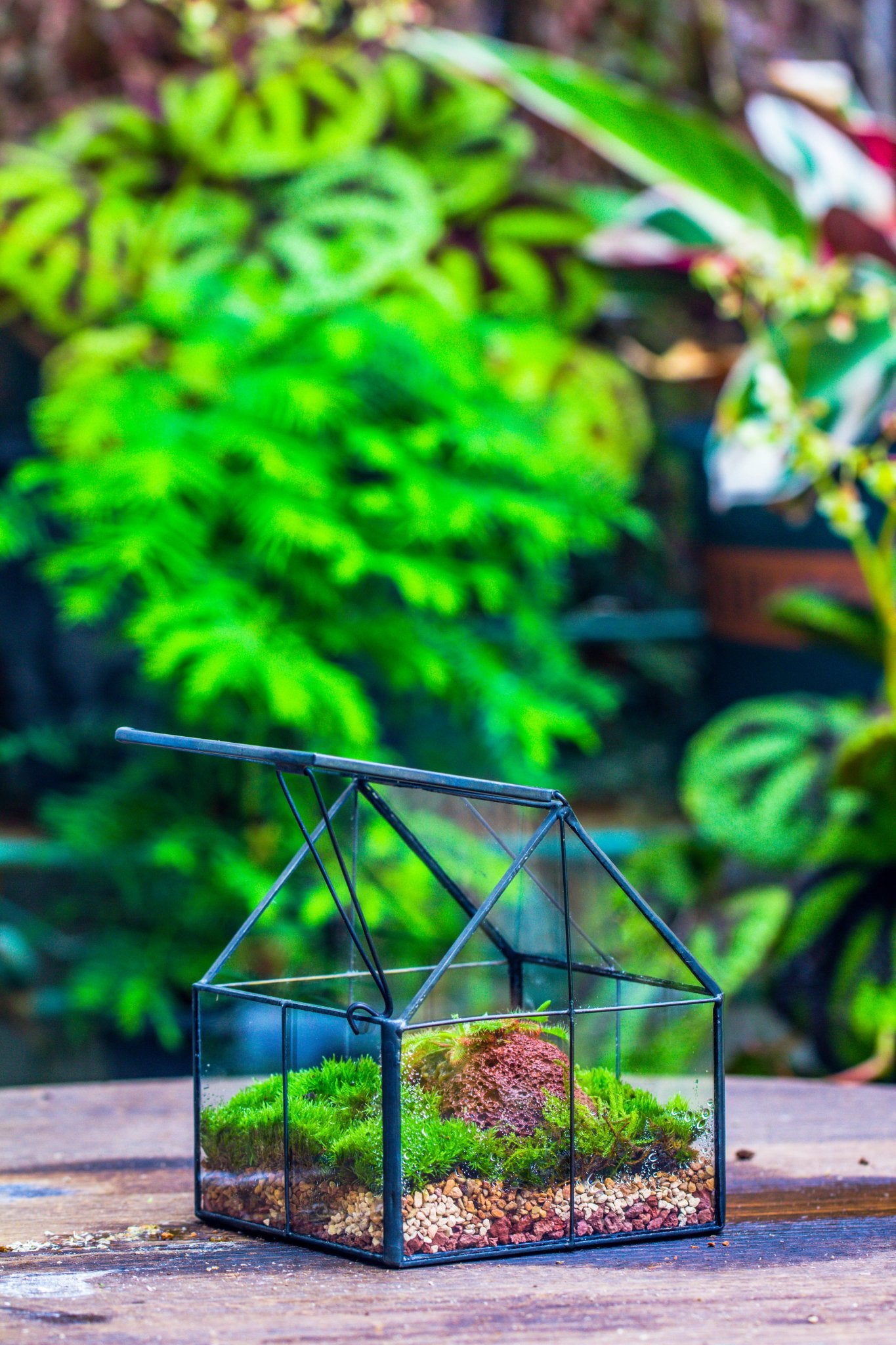 Handmade glass and tin close mini house shape close terrarium for moss, succulents, Drosera PH01F1 - NCYPgarden