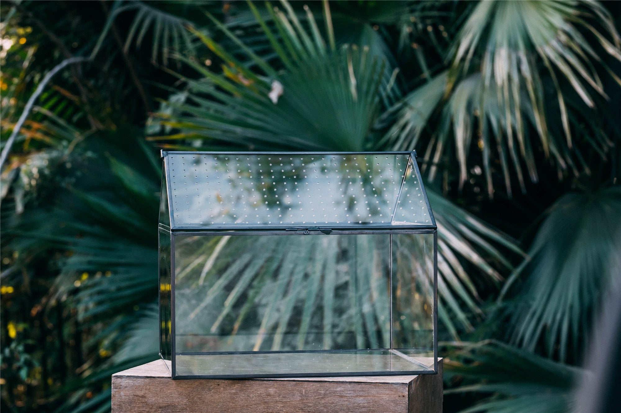 NCYP Handmade Large House Shape Tabletop, with Acrylic Mesh Vent, Swing Lid Latch Geometric Glass Terrarium Box for Snail PH04G3 - NCYPgarden