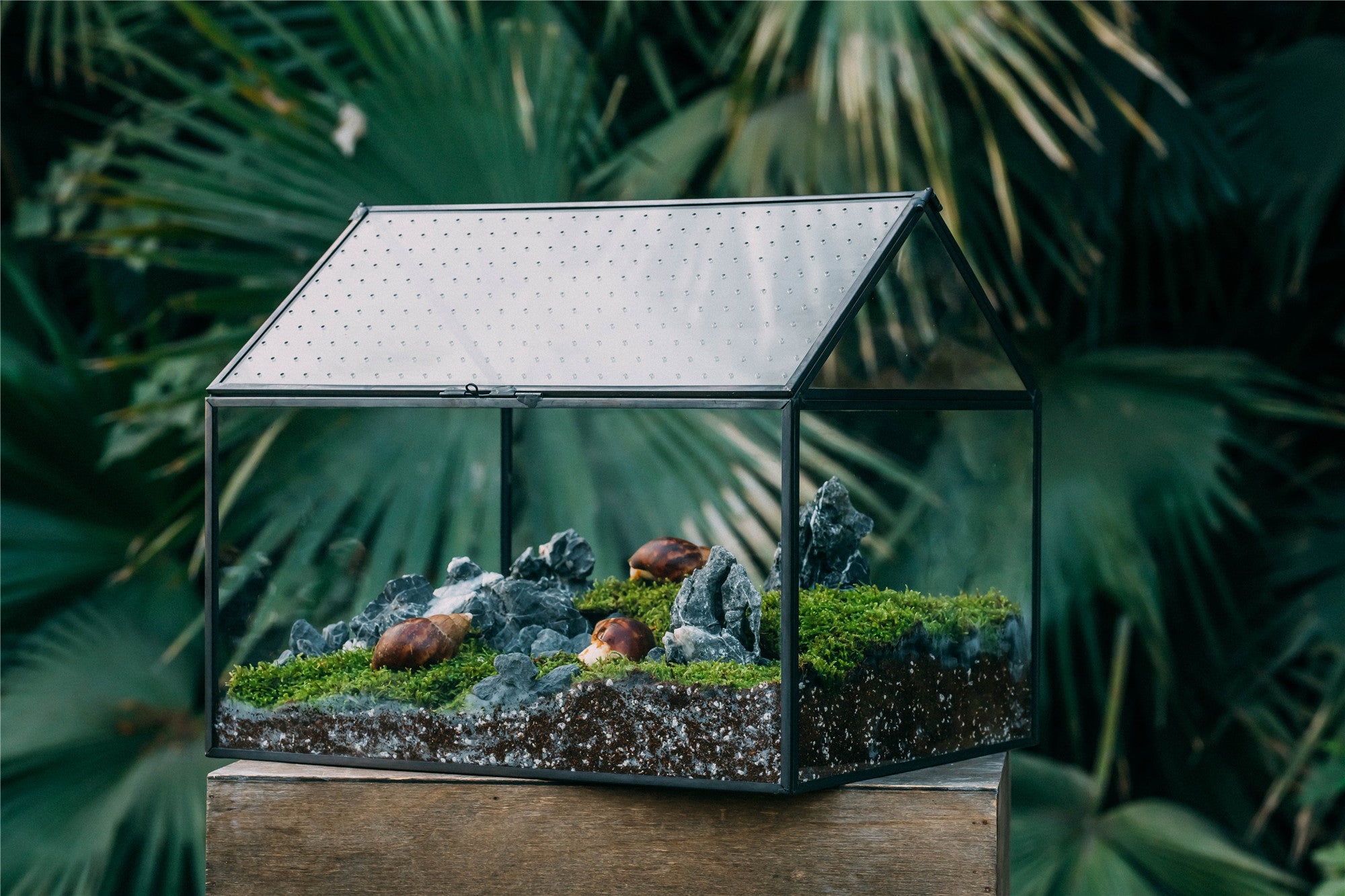 NCYP Handmade Large House Shape Tabletop, with Acrylic Mesh Vent, Swing Lid Latch Geometric Glass Terrarium Box for Snail PH04G3 - NCYPgarden