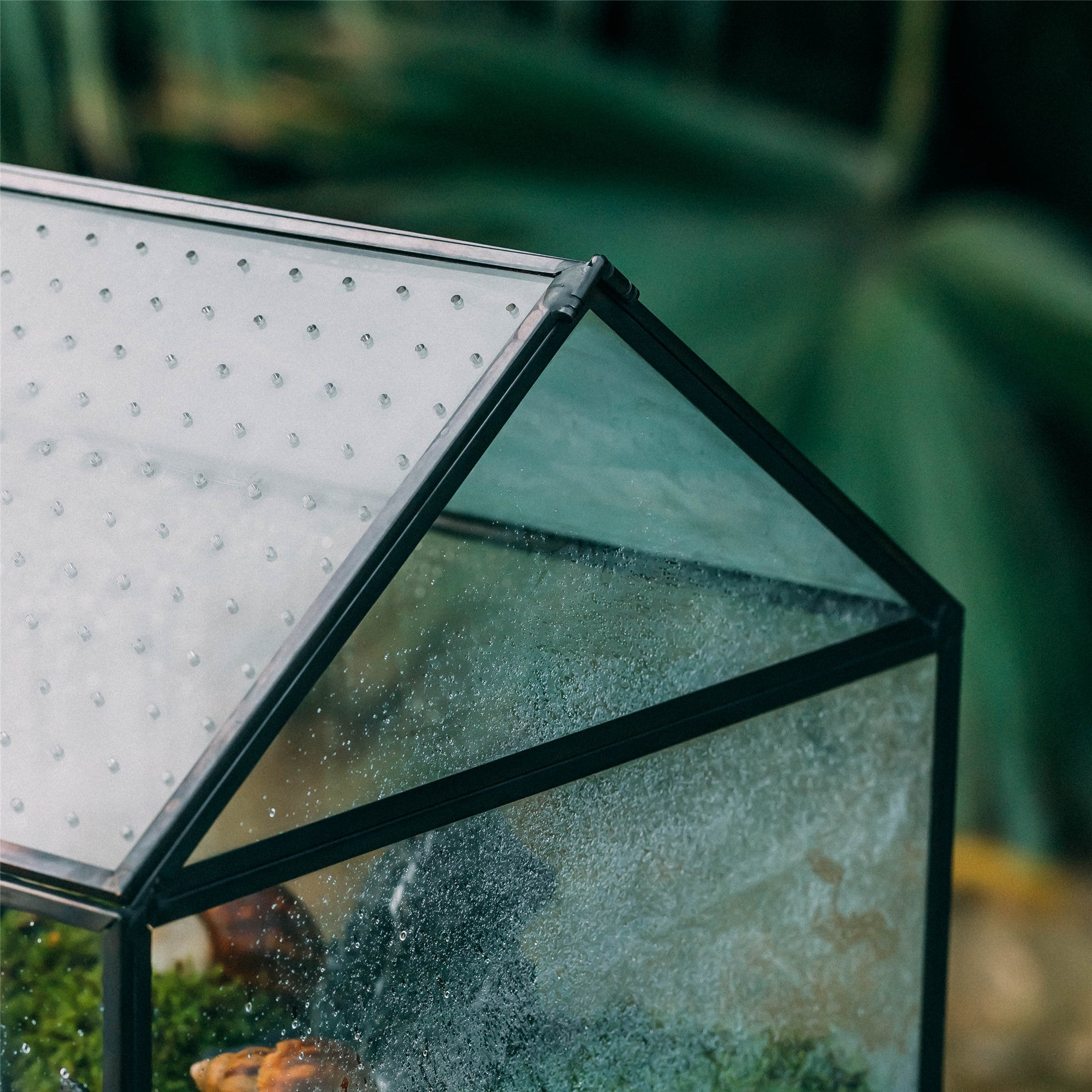NCYP Handmade Large House Shape Tabletop, with Acrylic Mesh Vent, Swing Lid Latch Geometric Glass Terrarium Box for Snail PH04G3 - NCYPgarden