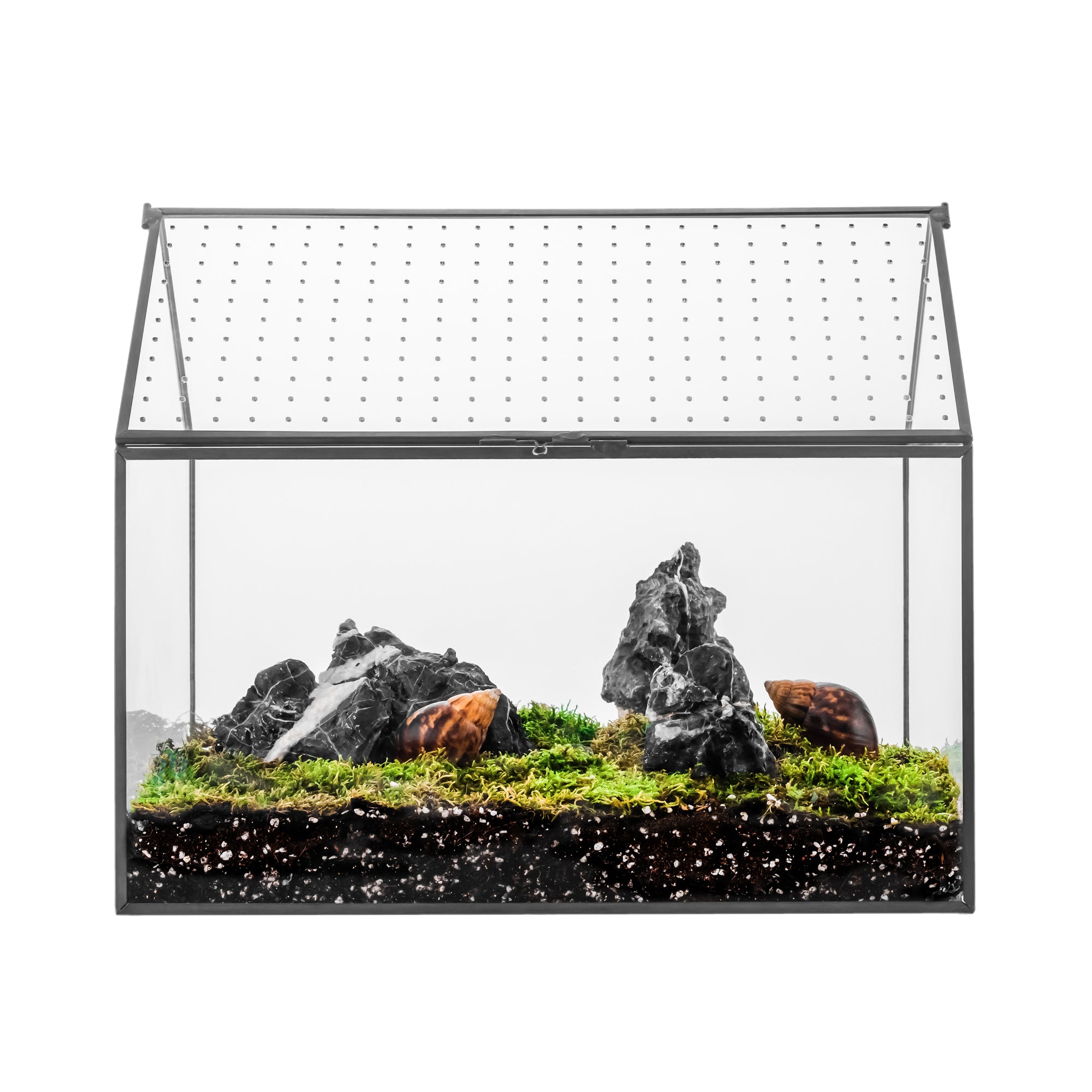 NCYP Handmade Large House Shape Tabletop, with Acrylic Mesh Vent, Swing Lid Latch Geometric Glass Terrarium Box for Snail PH04G3 - NCYPgarden