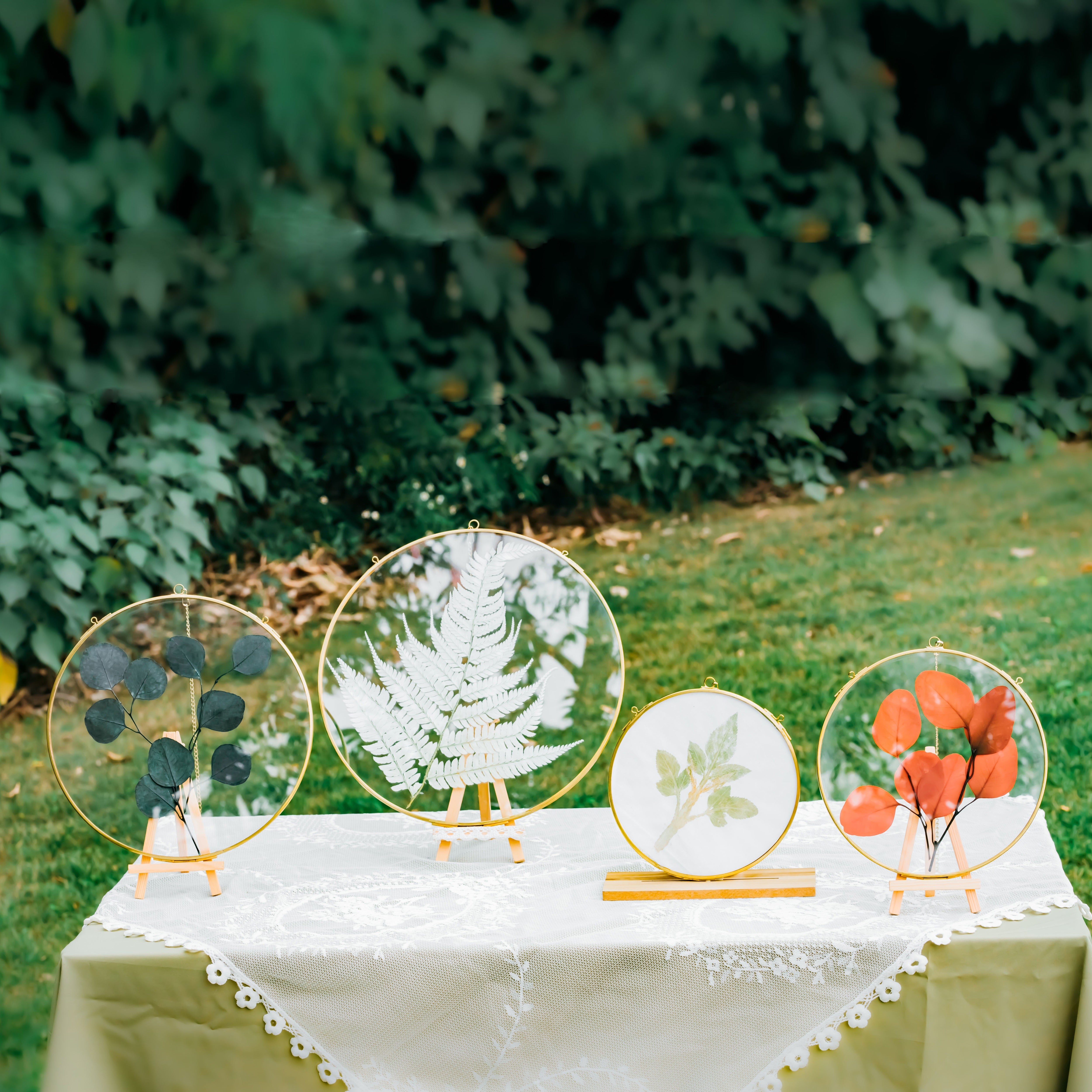 Round 6", 7" 10" 12" gold herbarium brass glass frame, Brass and Glass - NCYPgarden