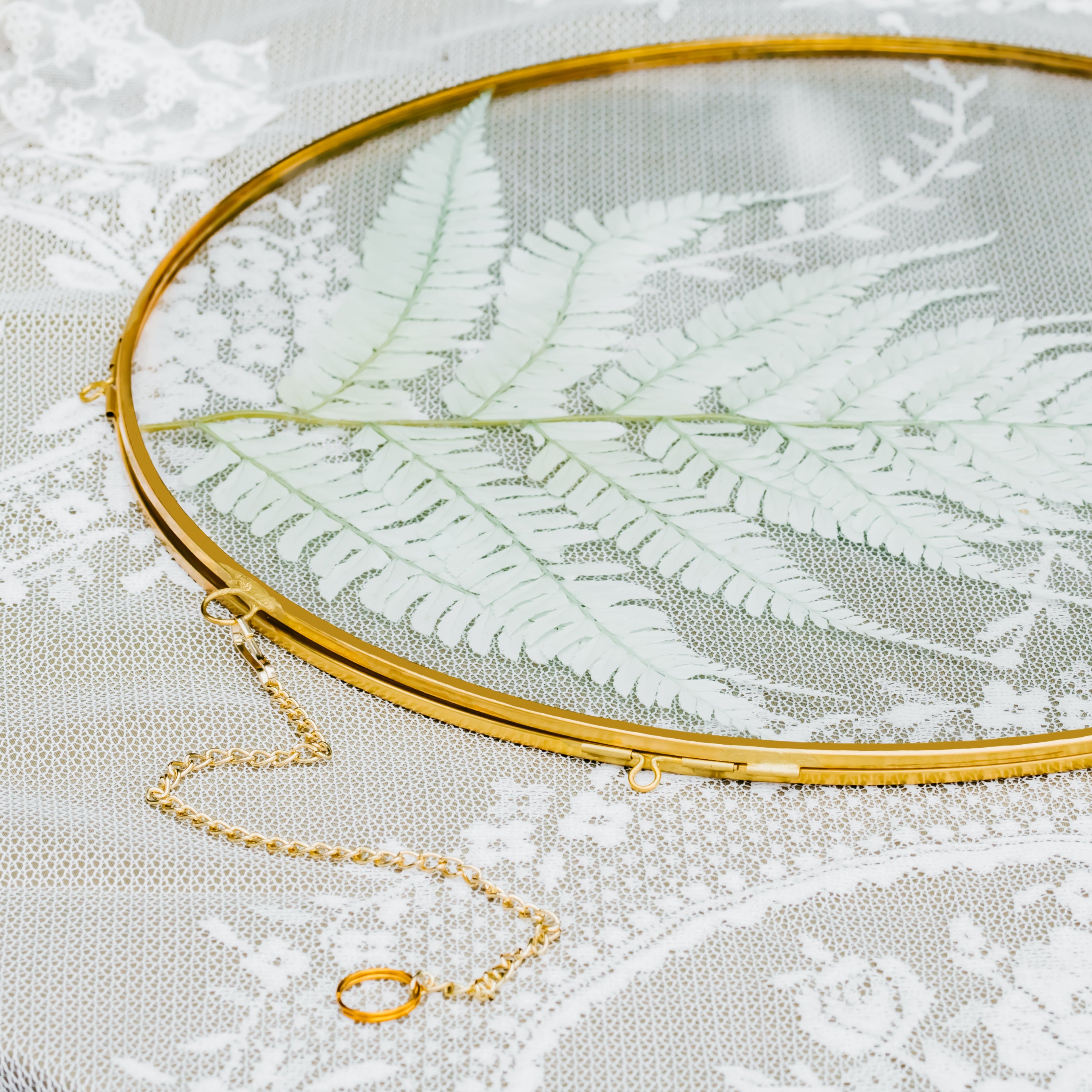 Round 6", 7" 10" 12" gold herbarium brass glass frame, Brass and Glass - NCYPgarden