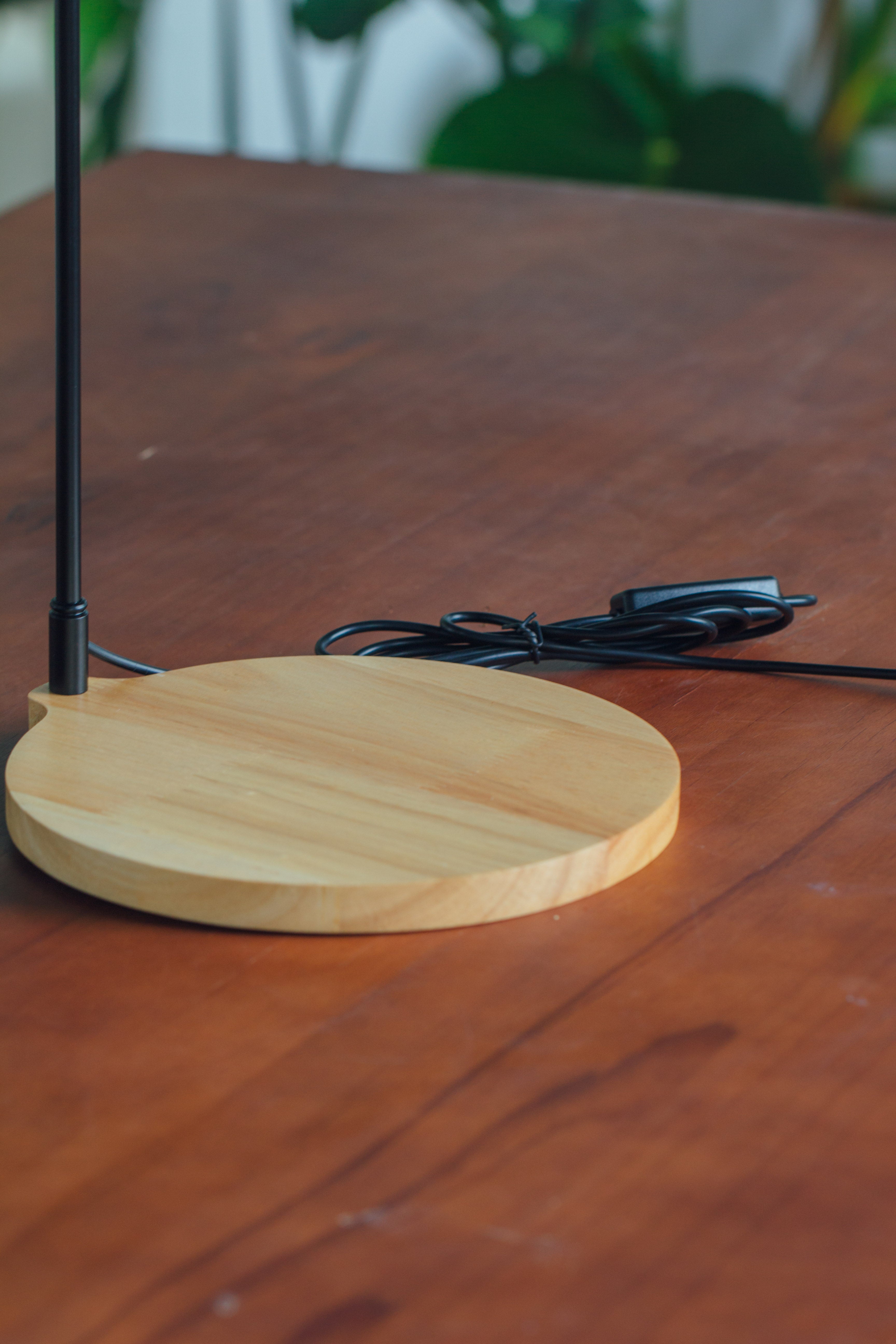 NCYP Customizable Tabletop Natural Wood Round Board LED Grow Display Light Indoor 10W for Terrarium Succulent Fern Bonsai Moss  -30cm - NCYPgarden