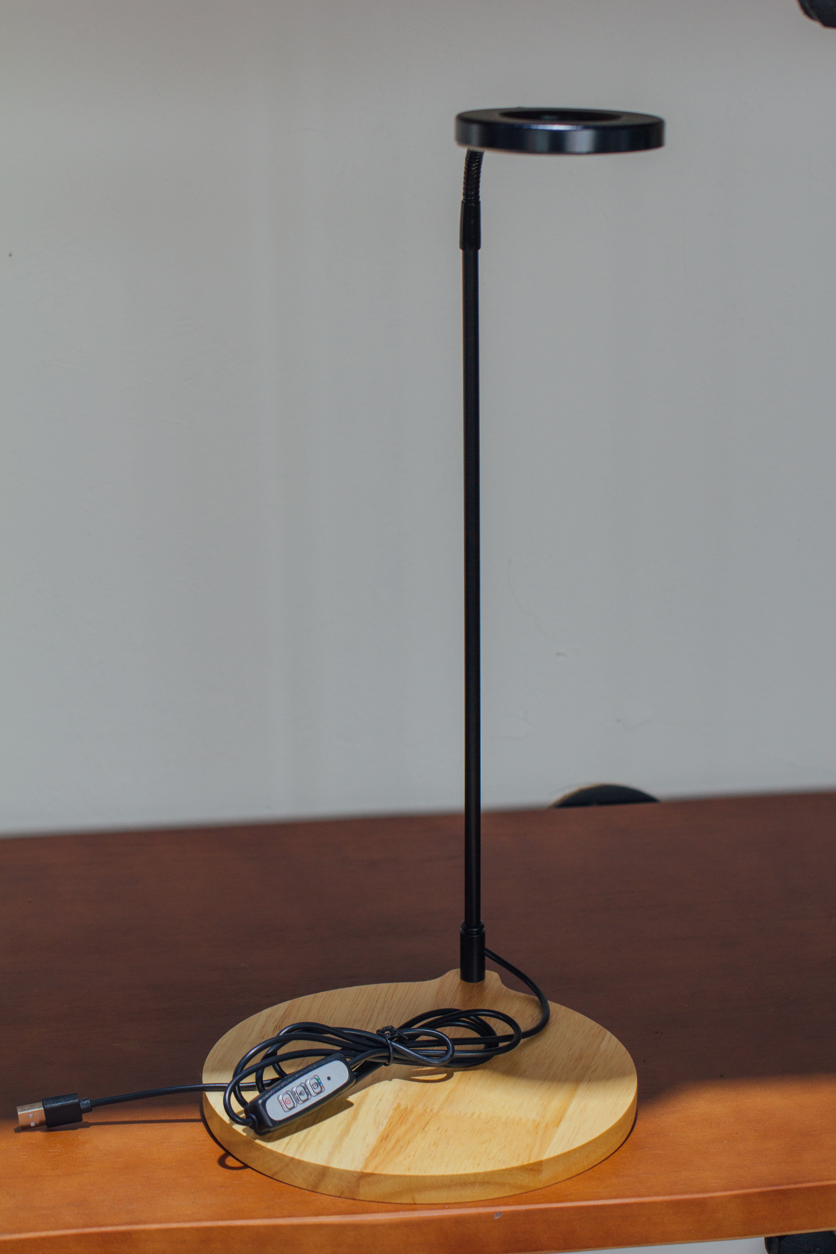 NCYP Customizable Tabletop Natural Wood Round Board LED Grow Display Light Indoor 10W for Terrarium Succulent Fern Bonsai Moss  -30cm - NCYPgarden