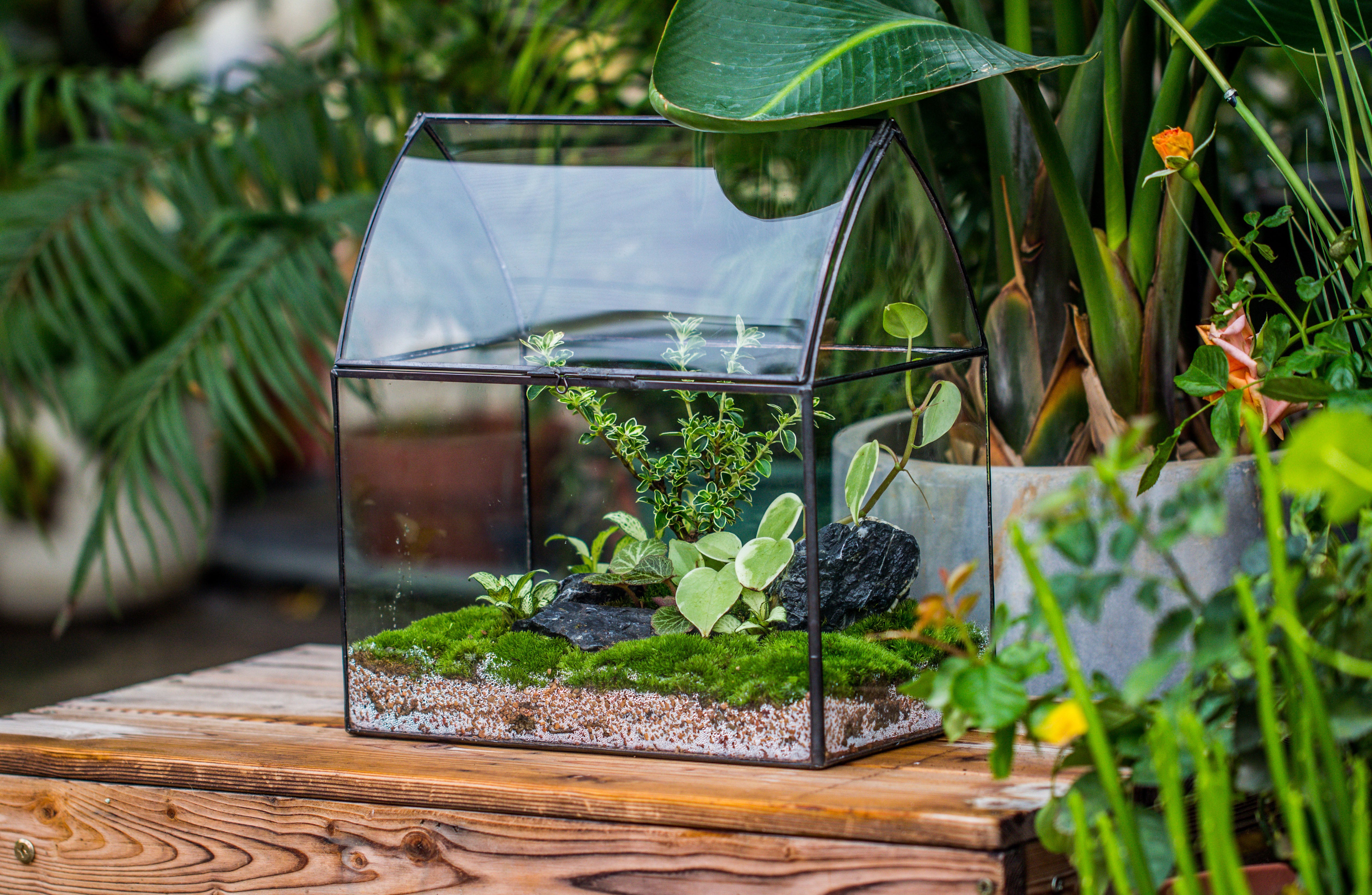 Handmade Unique Closed Terrarium with Arched Roof | HouseShape Closed Planter for Tropical Plants, Moss | Miniature Greenhouse Gift - NCYPgarden