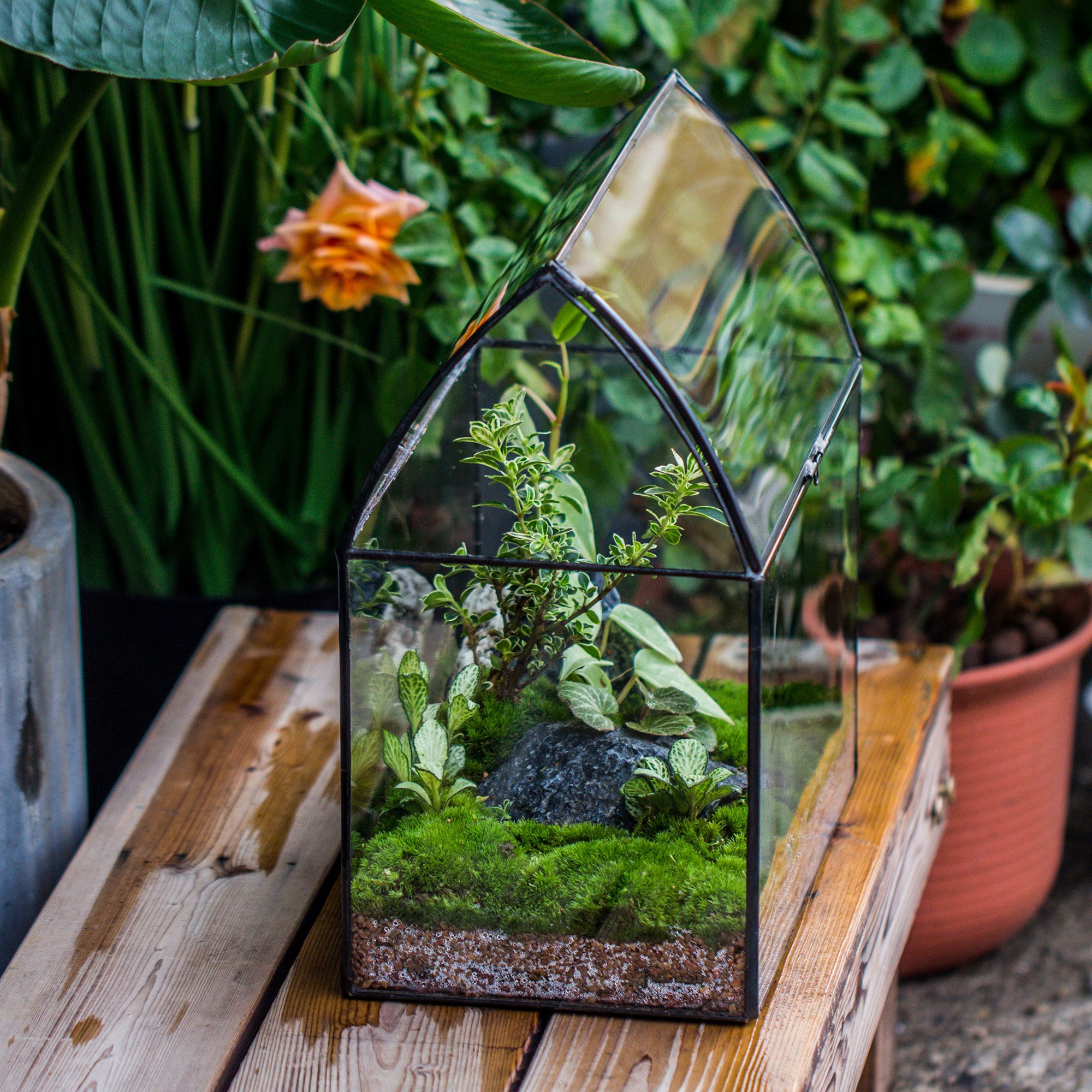 Handmade Unique Closed Terrarium with Arched Roof | HouseShape Closed Planter for Tropical Plants, Moss | Miniature Greenhouse Gift - NCYPgarden