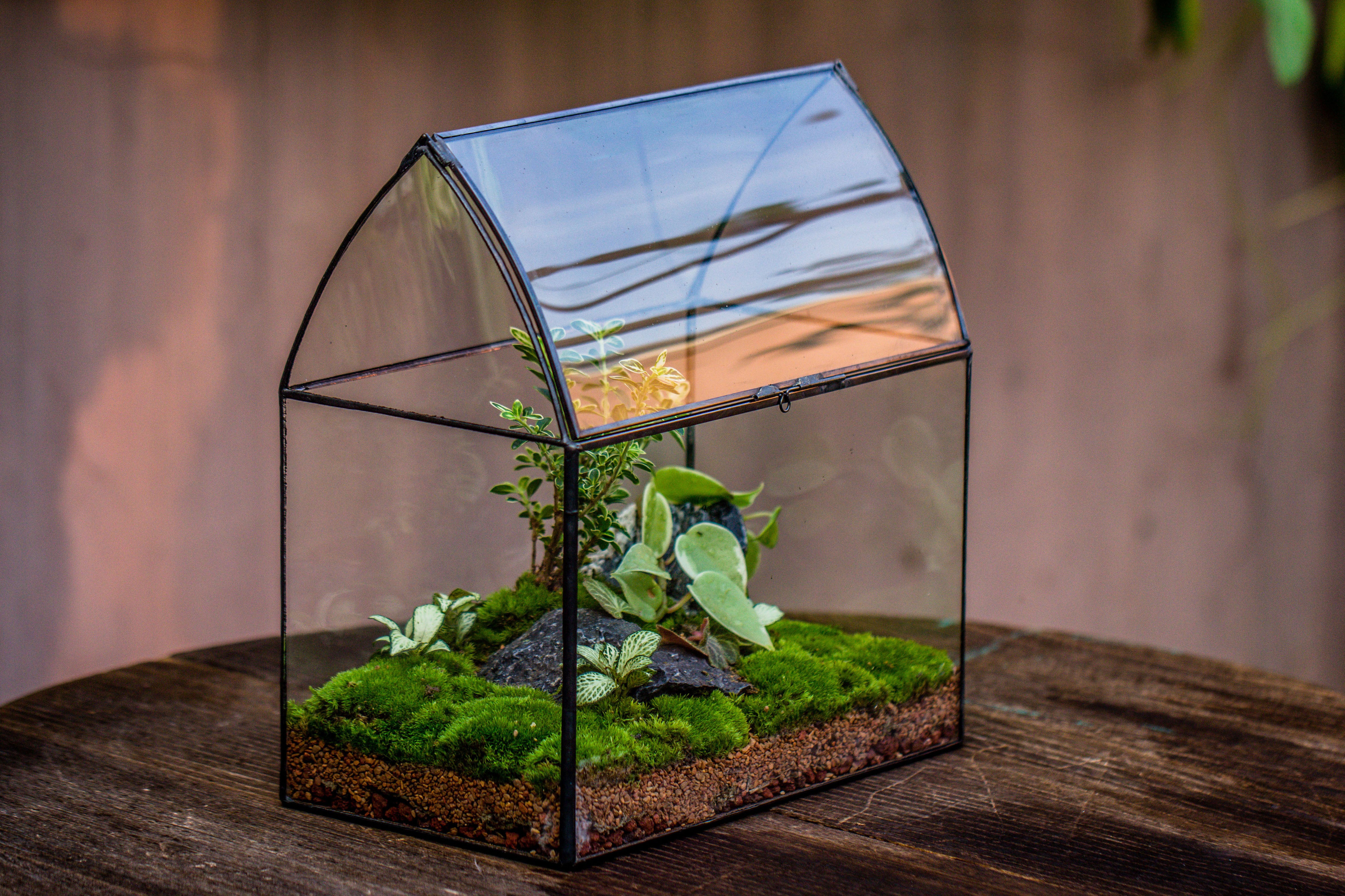 Handmade Unique Closed Terrarium with Arched Roof | HouseShape Closed Planter for Tropical Plants, Moss | Miniature Greenhouse Gift - NCYPgarden