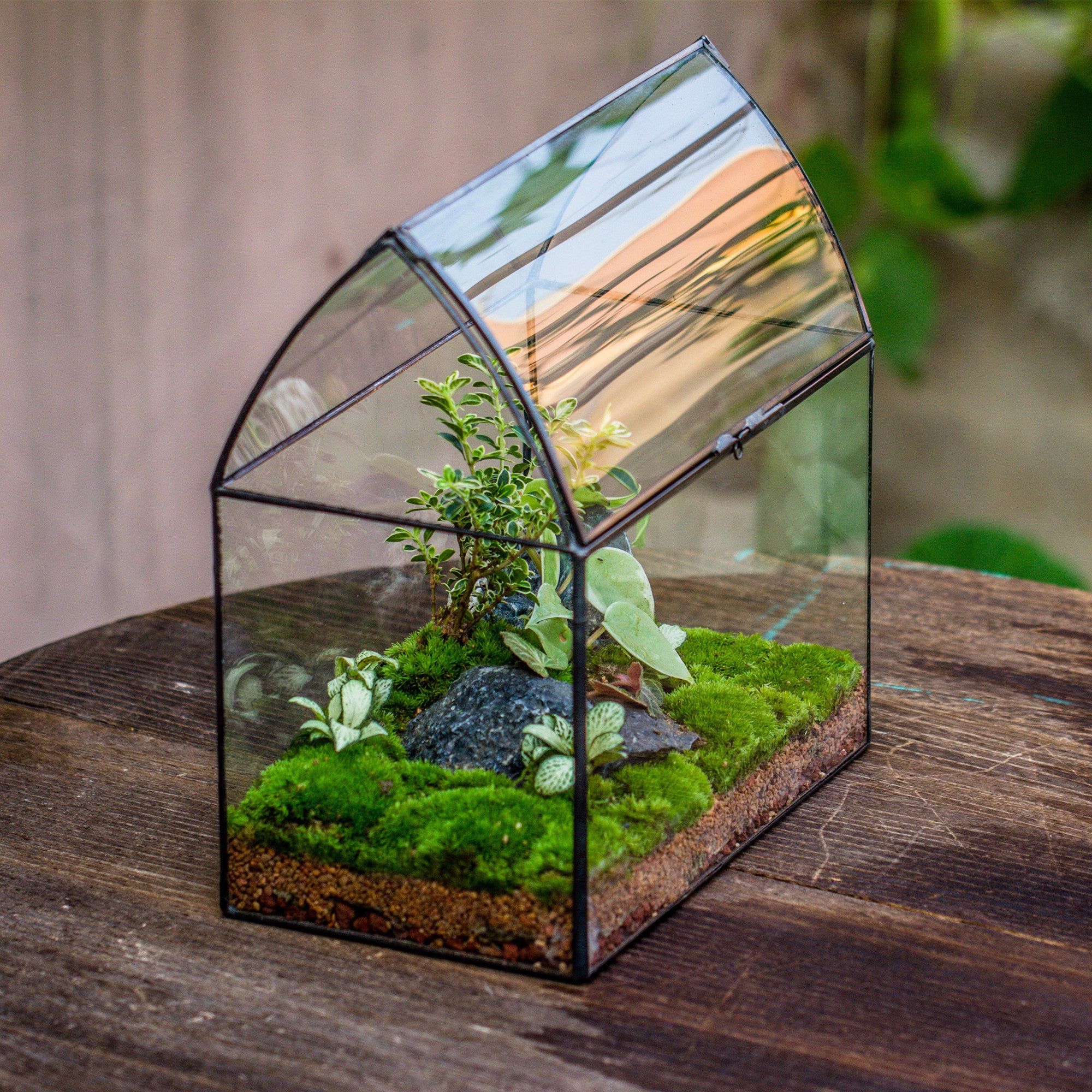 Handmade Unique Closed Terrarium with Arched Roof | HouseShape Closed Planter for Tropical Plants, Moss | Miniature Greenhouse Gift - NCYPgarden