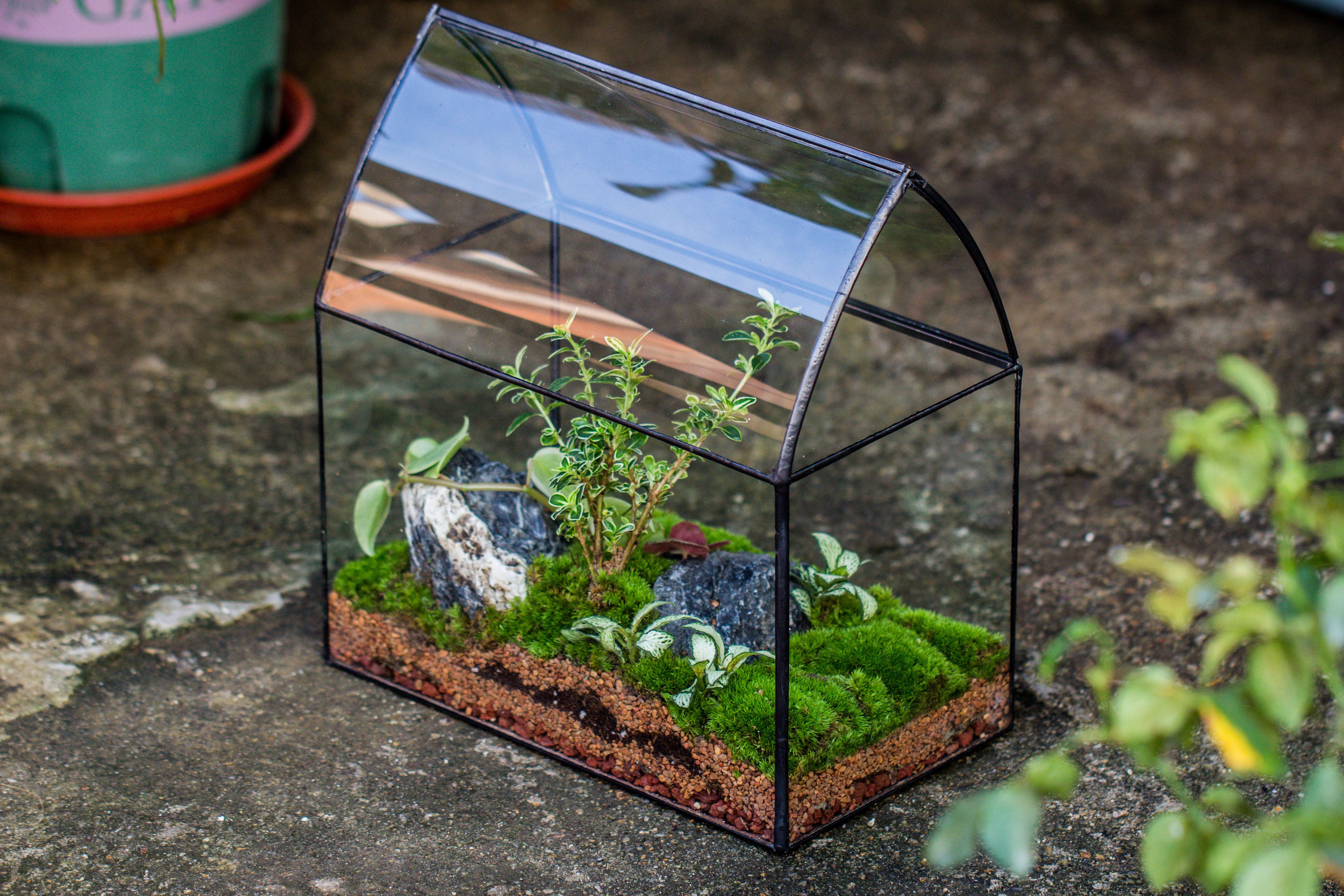 Handmade Unique Closed Terrarium with Arched Roof | HouseShape Closed Planter for Tropical Plants, Moss | Miniature Greenhouse Gift - NCYPgarden