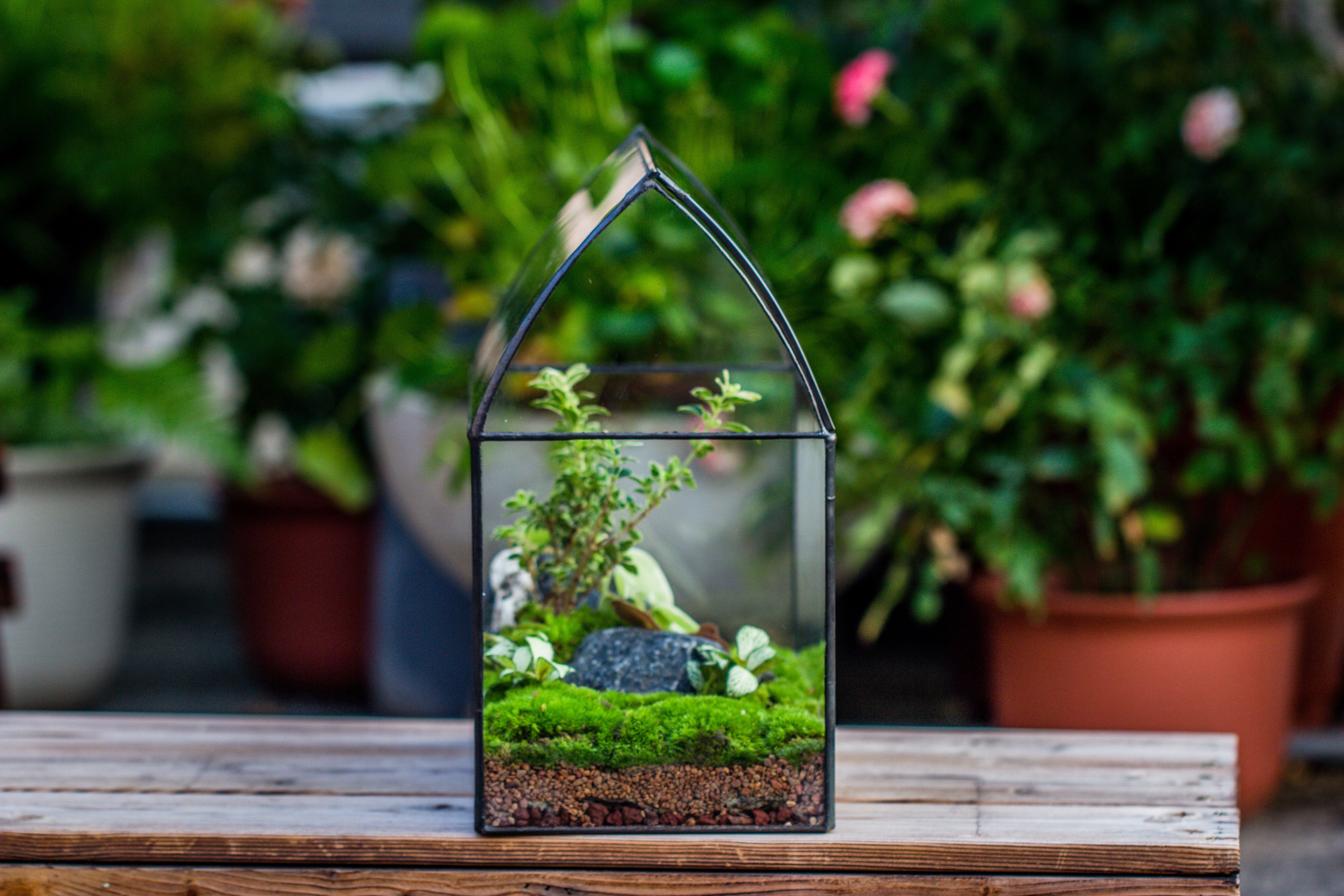 Handmade Unique Closed Terrarium with Arched Roof | HouseShape Closed Planter for Tropical Plants, Moss | Miniature Greenhouse Gift - NCYPgarden