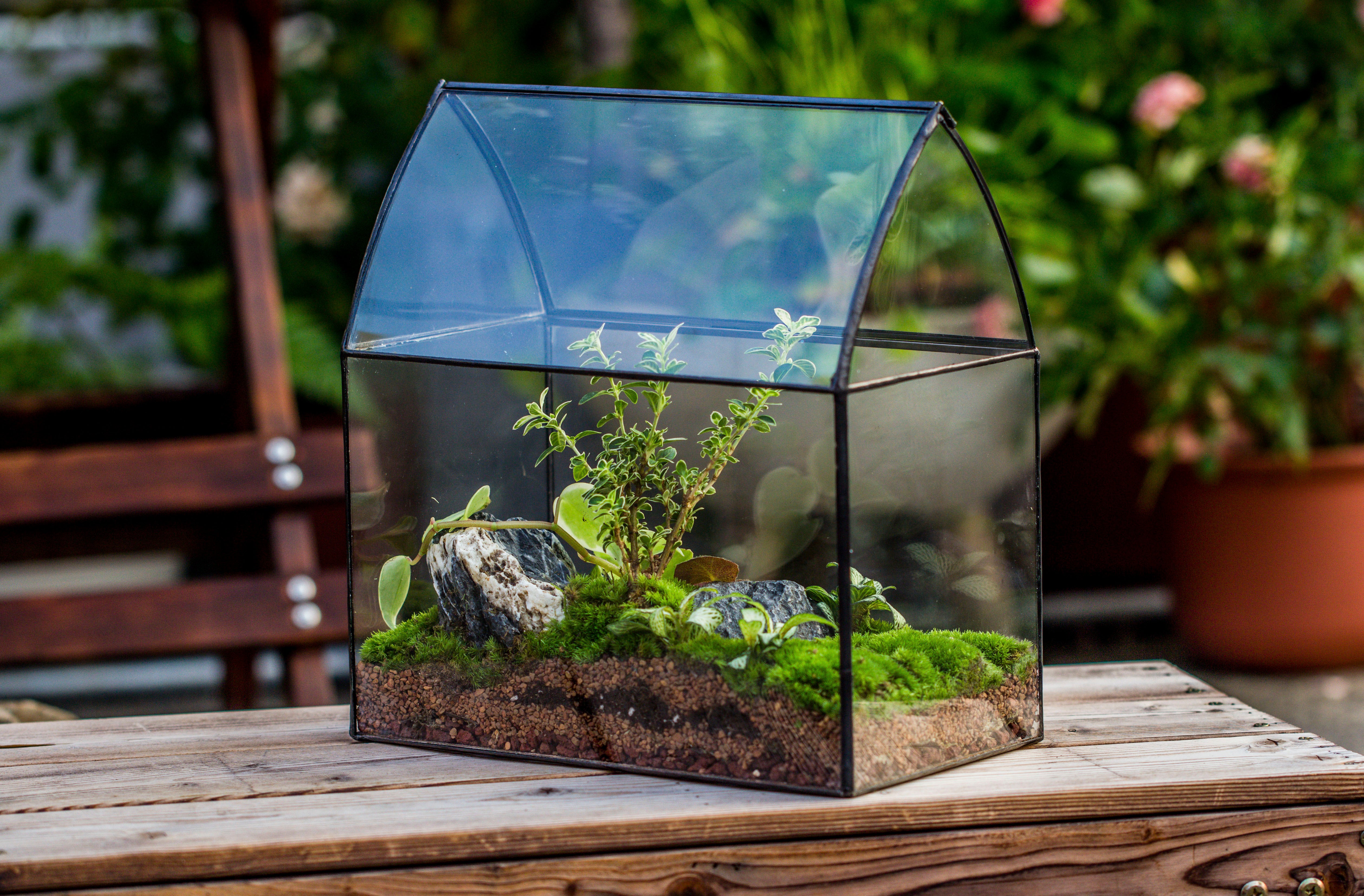 Handmade Unique Closed Terrarium with Arched Roof | HouseShape Closed Planter for Tropical Plants, Moss | Miniature Greenhouse Gift - NCYPgarden