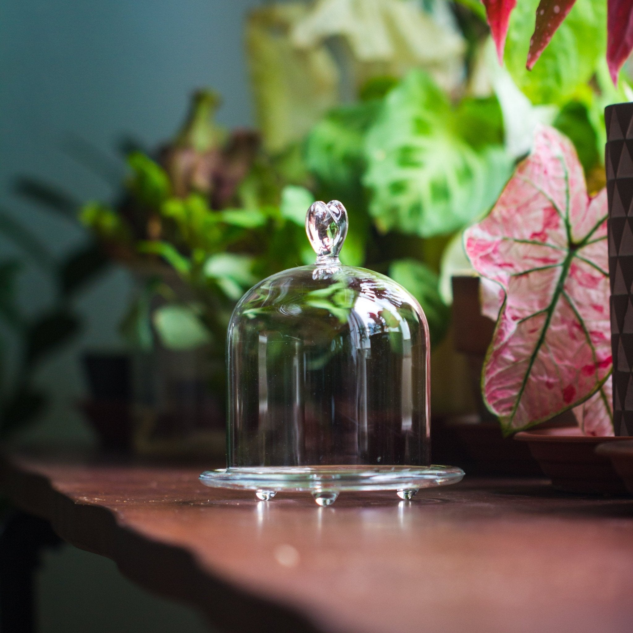 Heart Shape Tip Glass cloche with glass base and metal gold base set - NCYPgarden