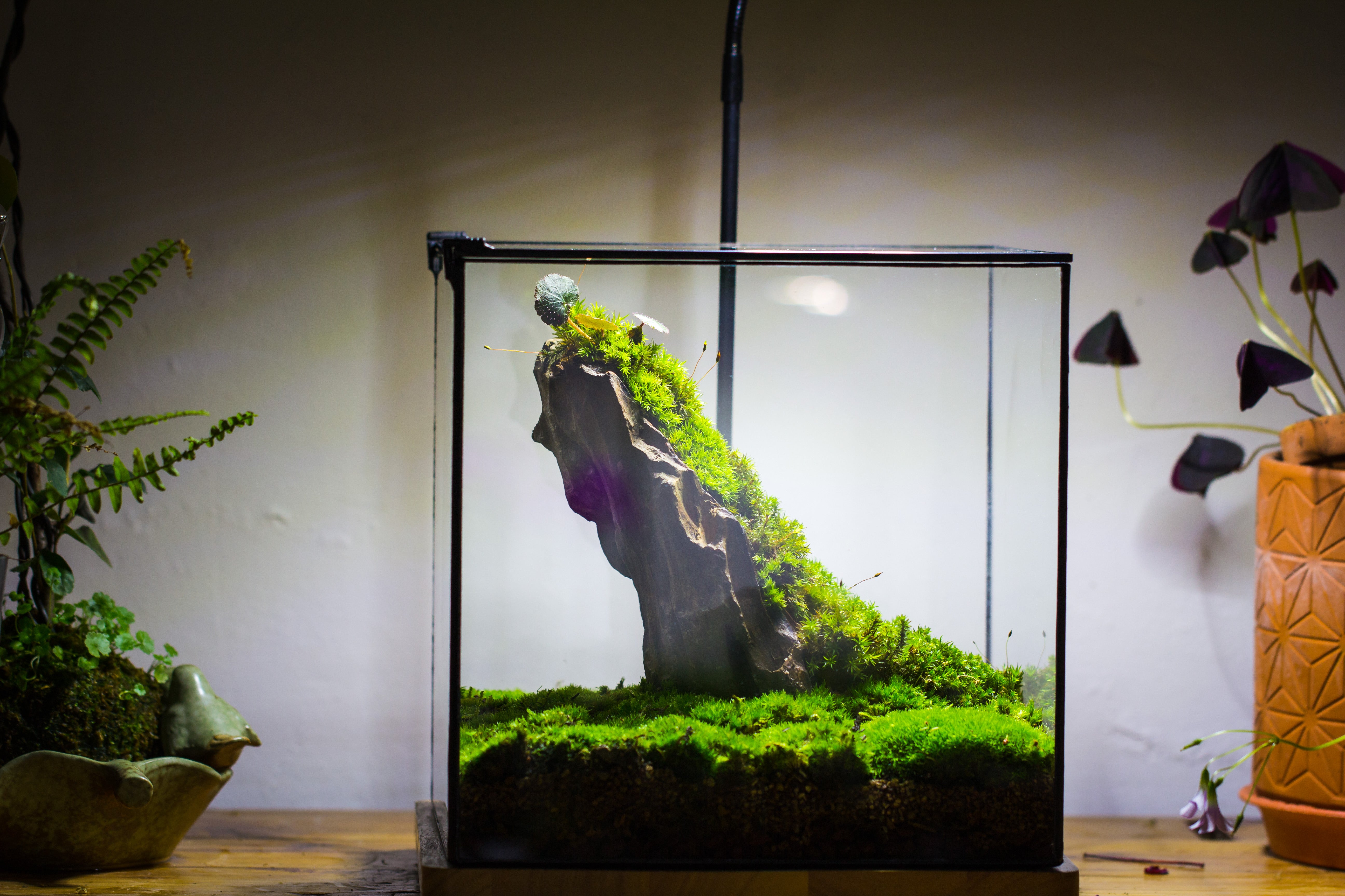 Handmade 8x8x10'' Cube Closed Geometric Glass Tin Terrarium with LED Grow Light Set - NCYPgarden