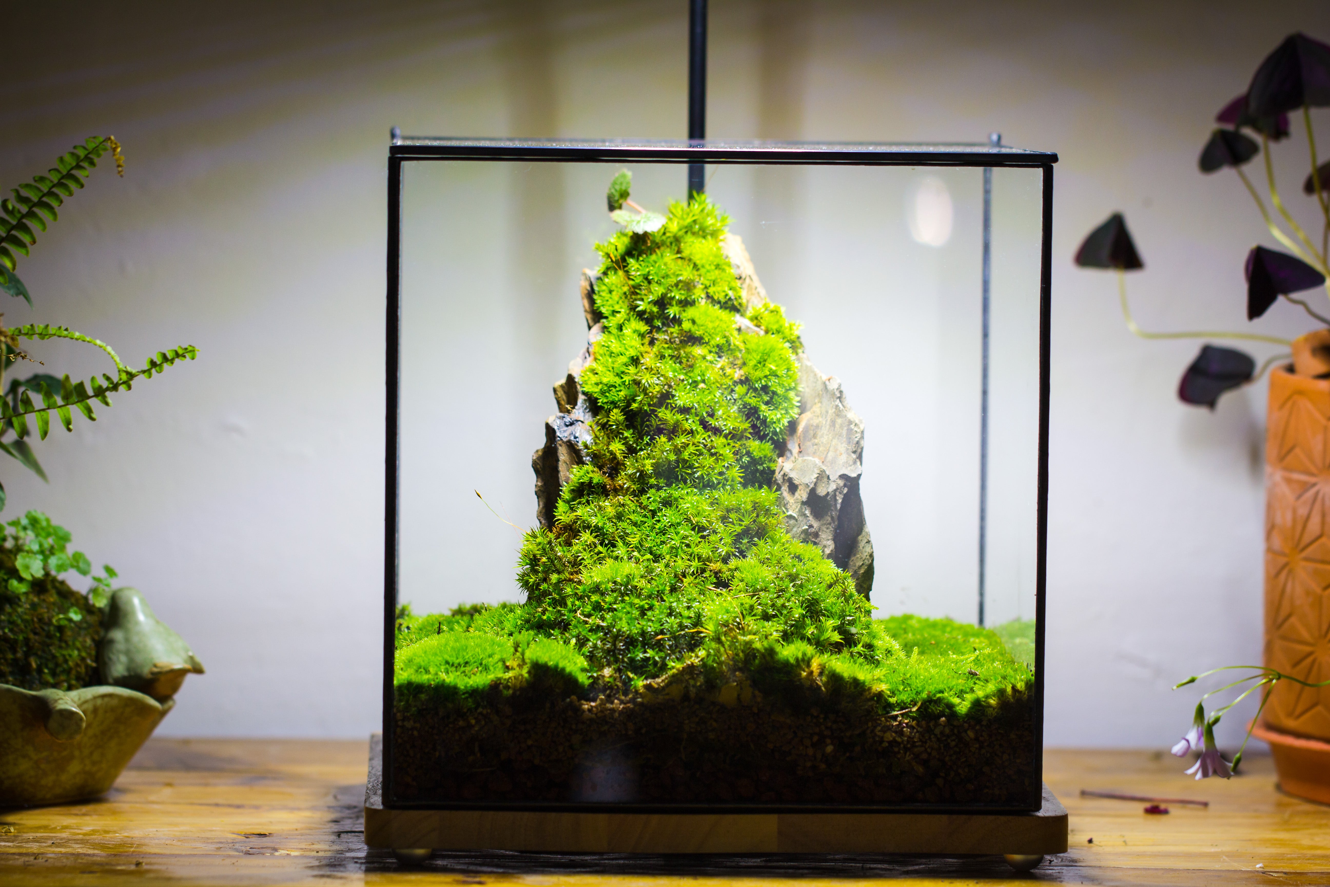 Handmade 8x8x10'' Cube Closed Geometric Glass Tin Terrarium with LED Grow Light Set - NCYPgarden