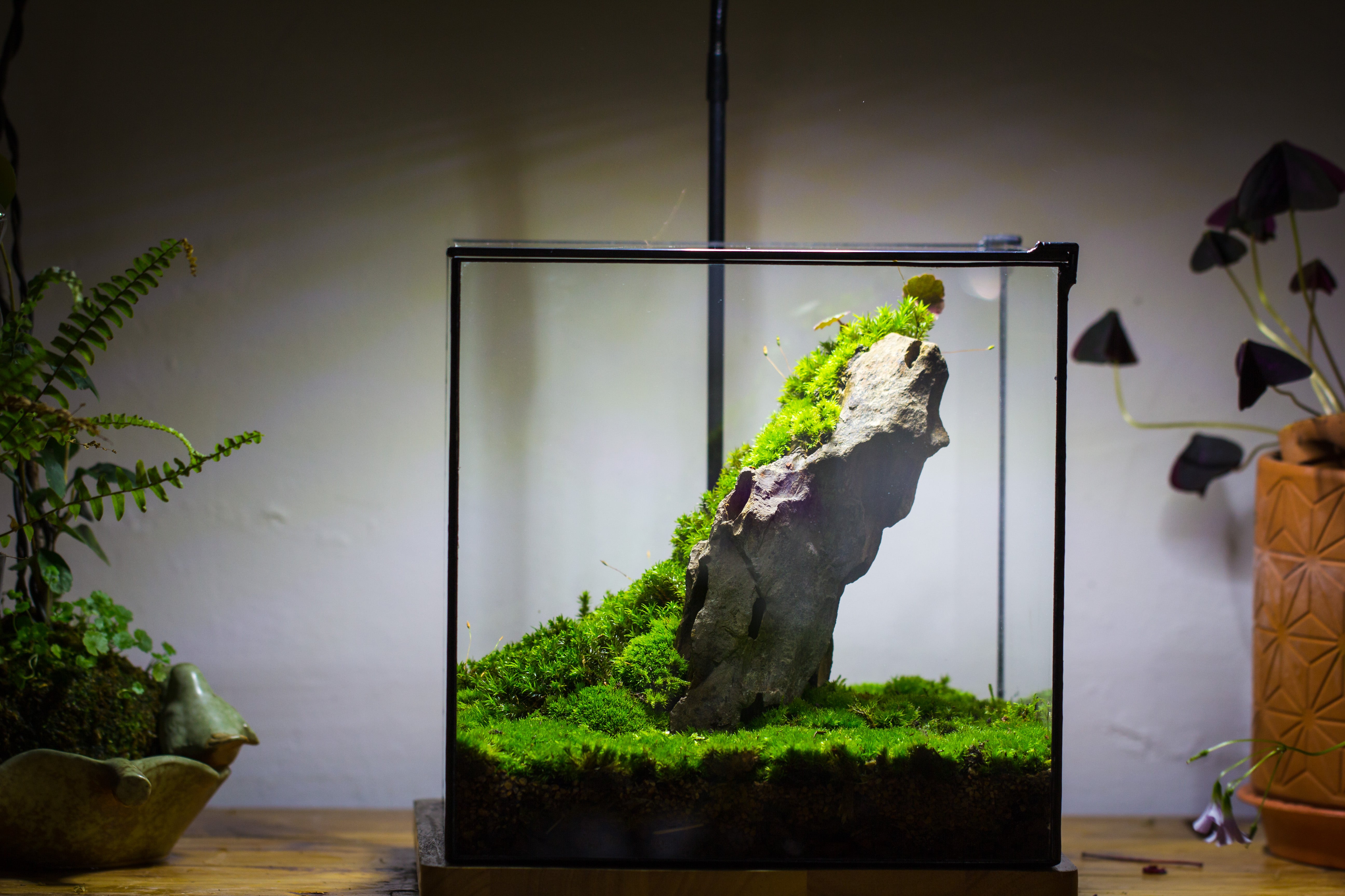 Handmade 8x8x10'' Cube Closed Geometric Glass Tin Terrarium with LED Grow Light Set - NCYPgarden