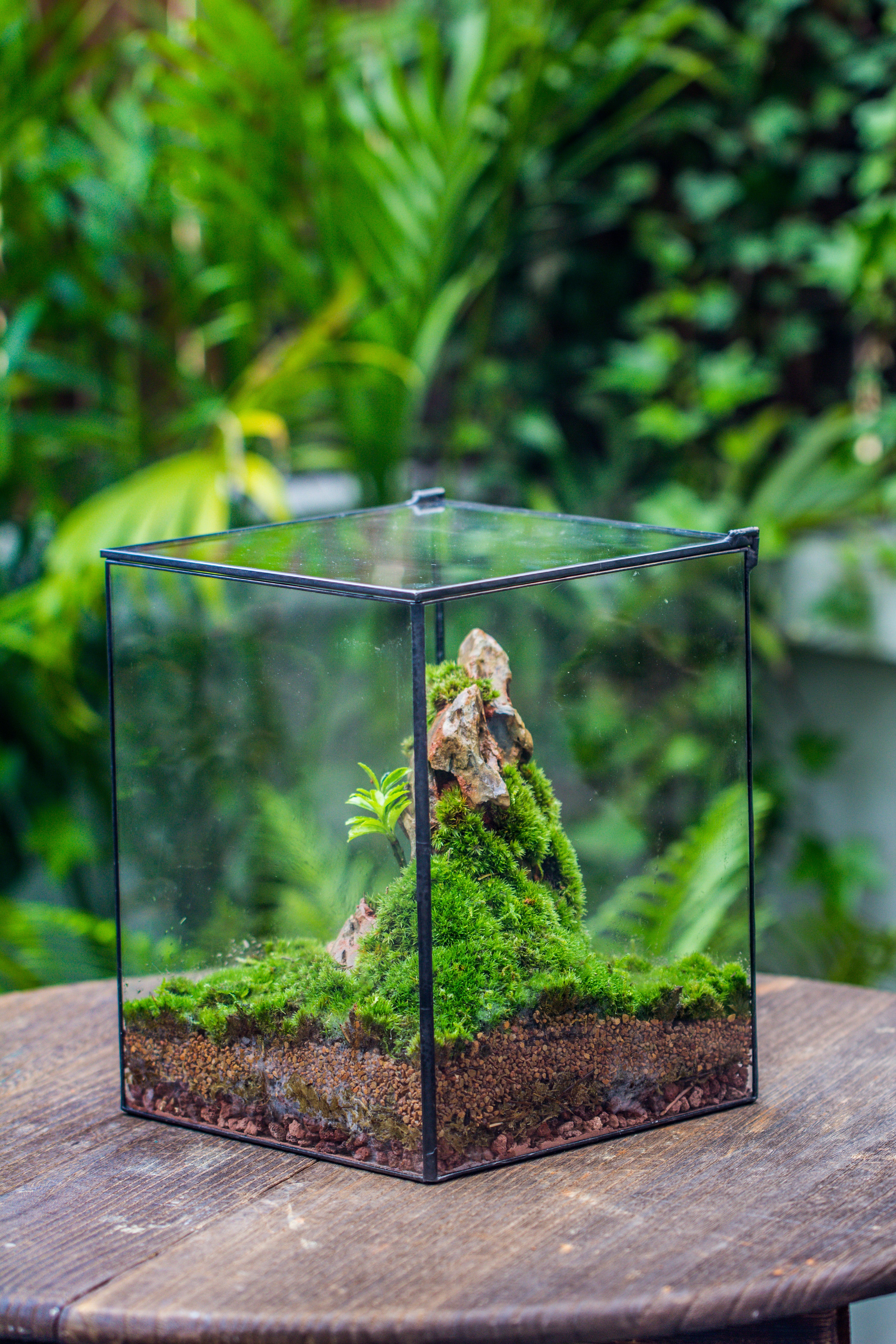 Handmade 8x8x10'' Cube Closed Geometric Glass Tin Terrarium with LED Grow Light Set - NCYPgarden