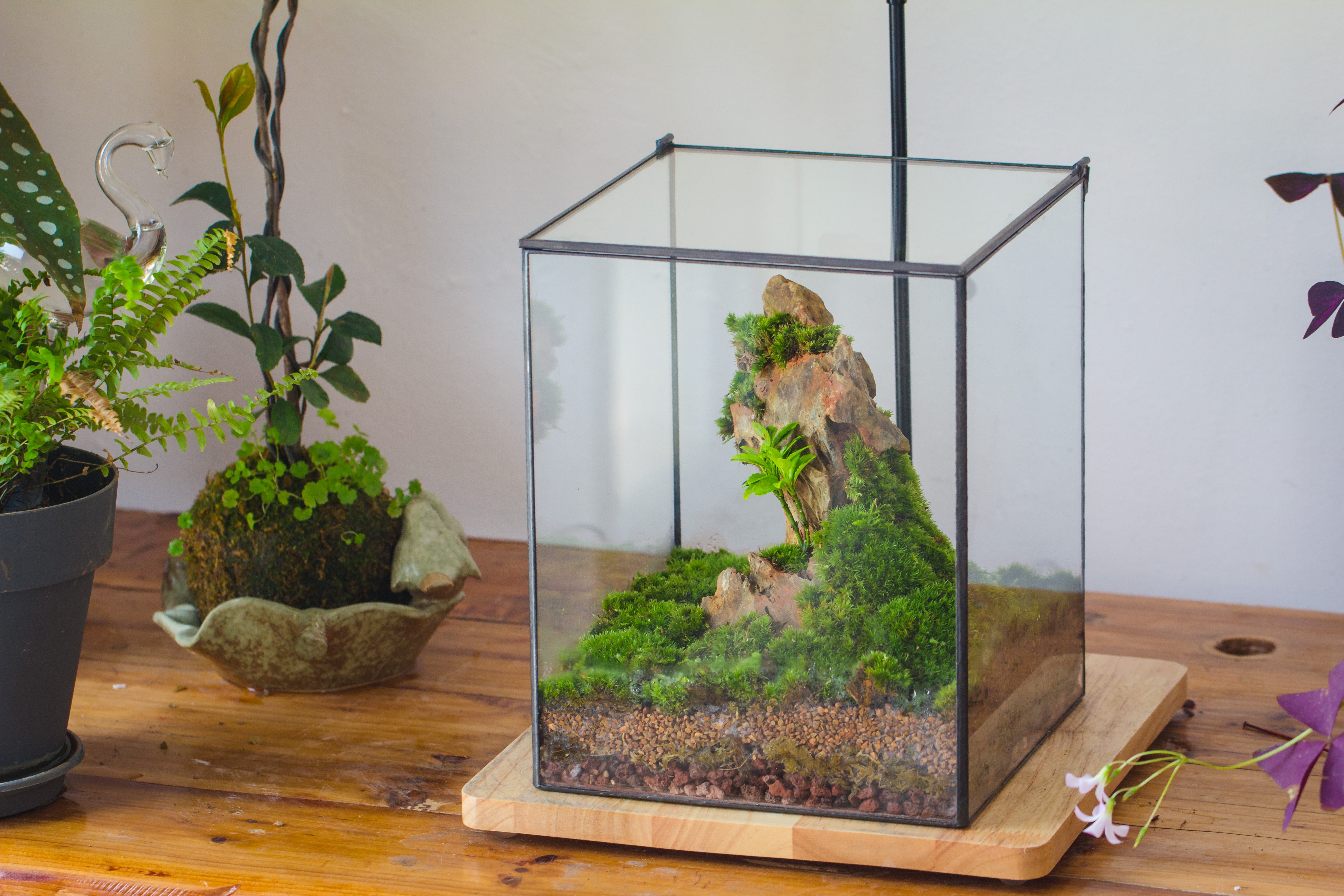 Handmade 8x8x10'' Cube Closed Geometric Glass Tin Terrarium with LED Grow Light Set - NCYPgarden