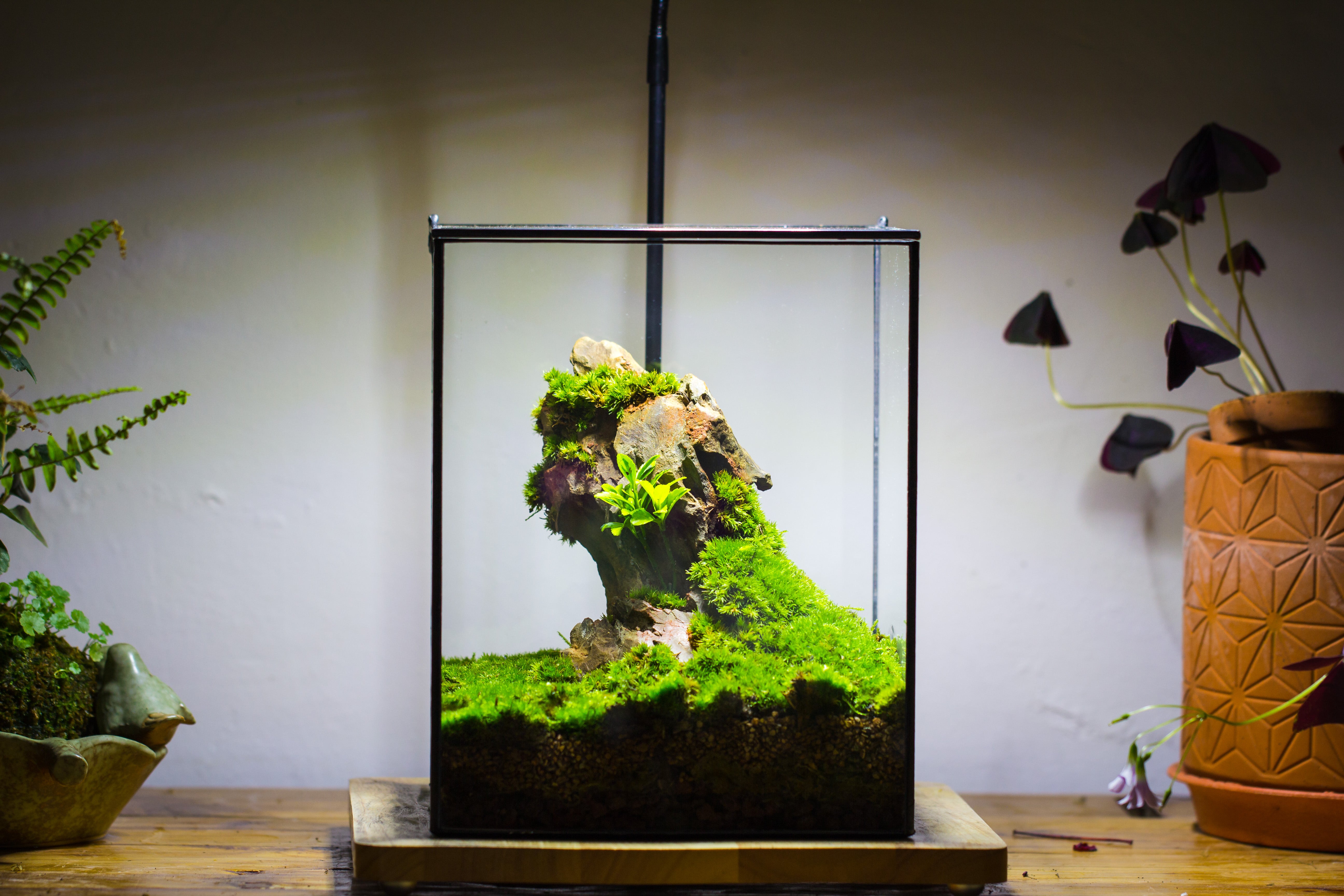 Handmade 8x8x10'' Cube Closed Geometric Glass Tin Terrarium with LED Grow Light Set - NCYPgarden