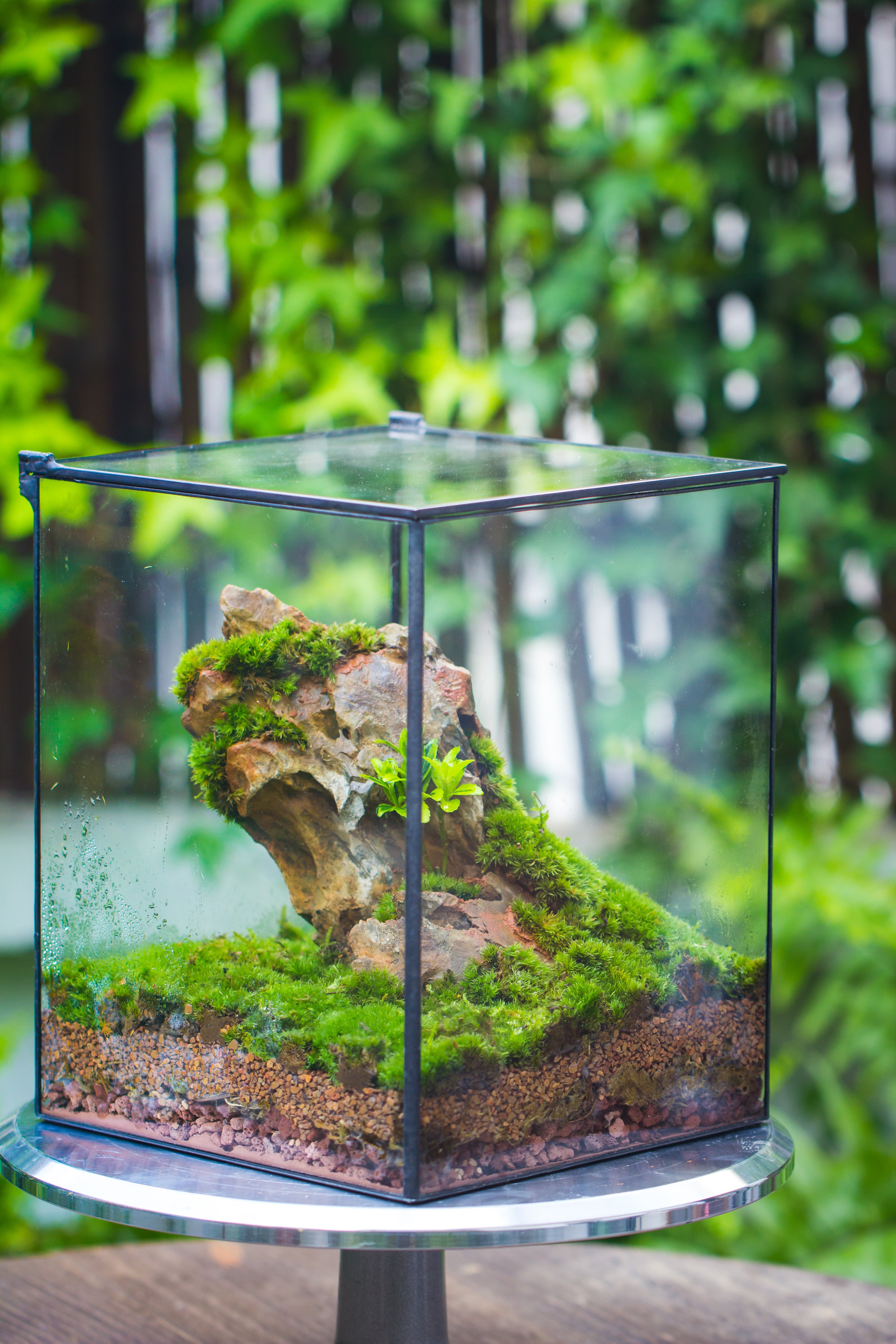 Handmade 8x8x10'' Cube Closed Geometric Glass Tin Terrarium with LED Grow Light Set - NCYPgarden