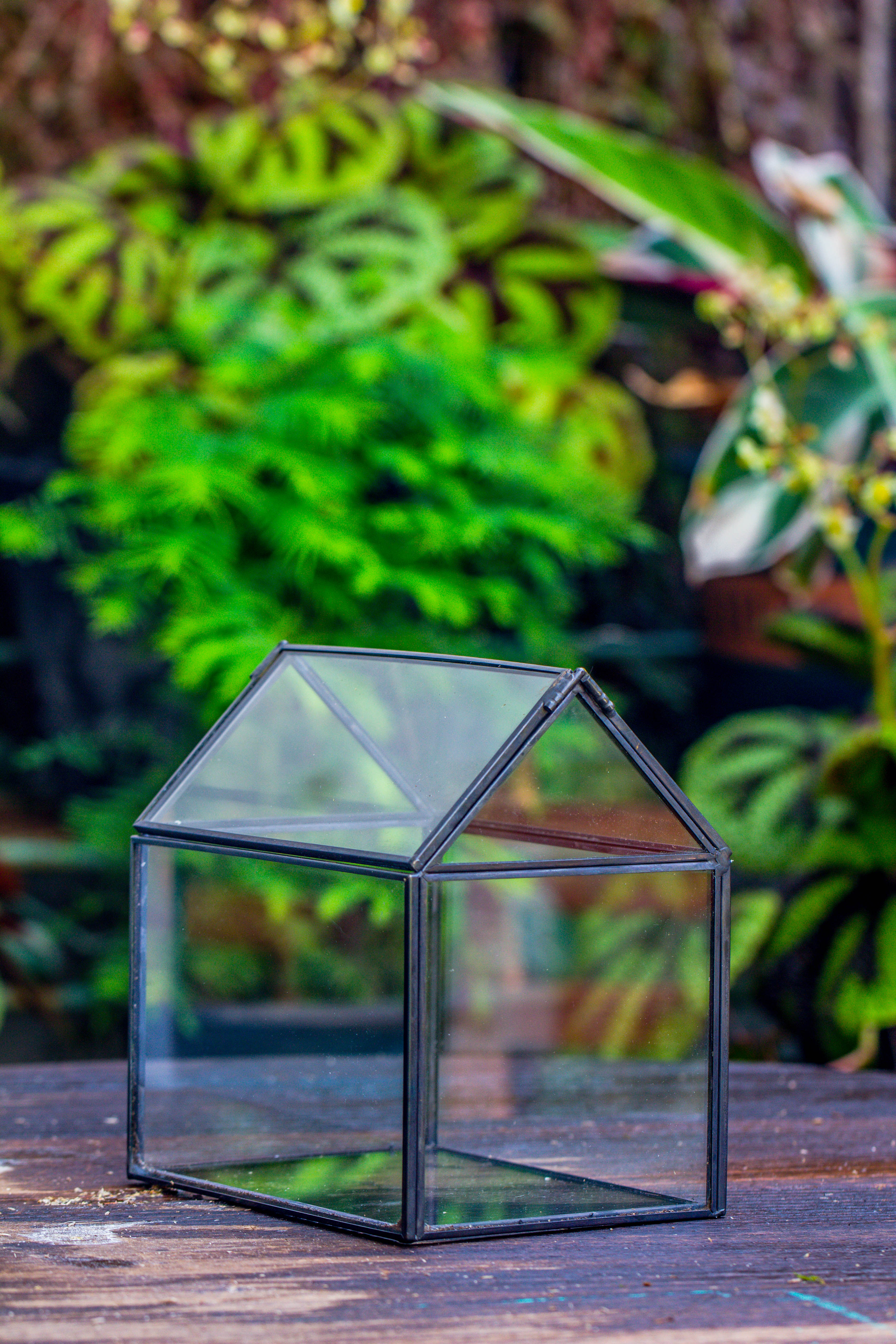 Handmade Black Copper House Shape Glass Geometric Terrarium Planter for Succulent Moss Airplants - NCYPgarden