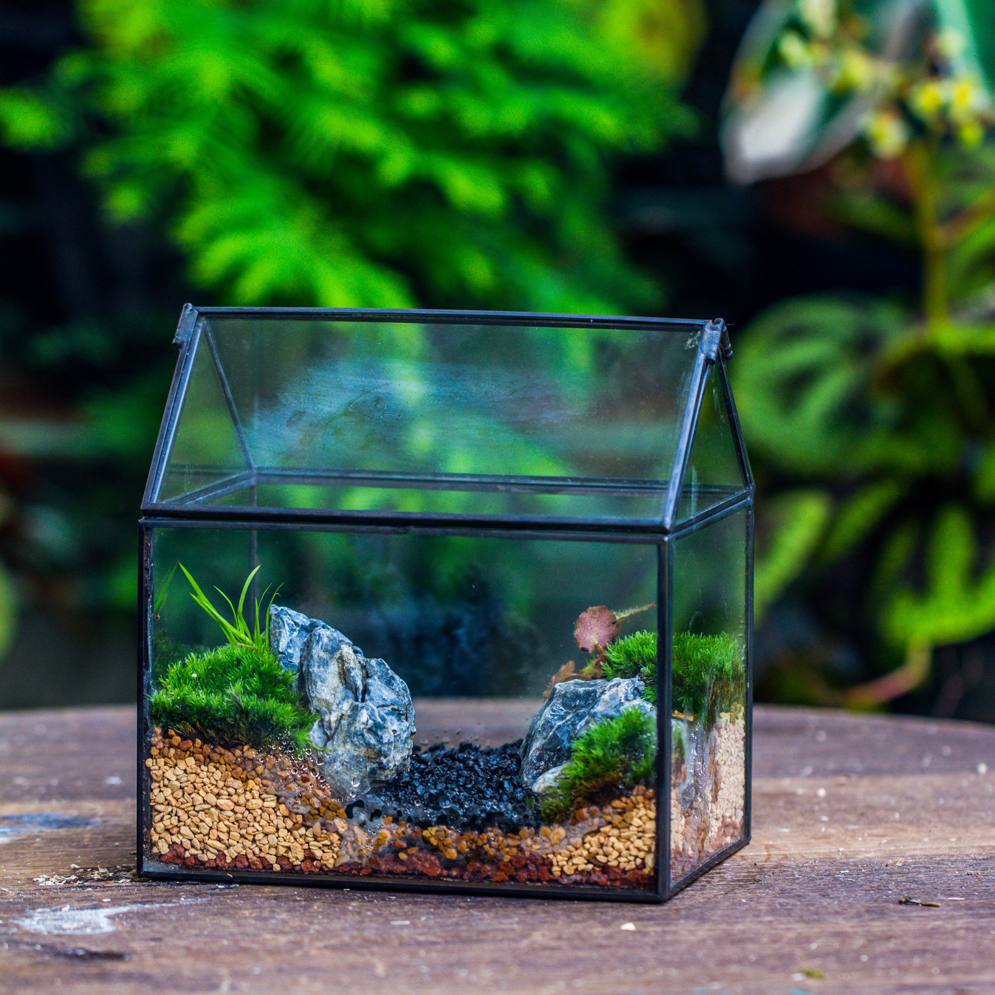 Handmade Black Copper House Shape Glass Geometric Terrarium Planter for Succulent Moss Airplants - NCYPgarden