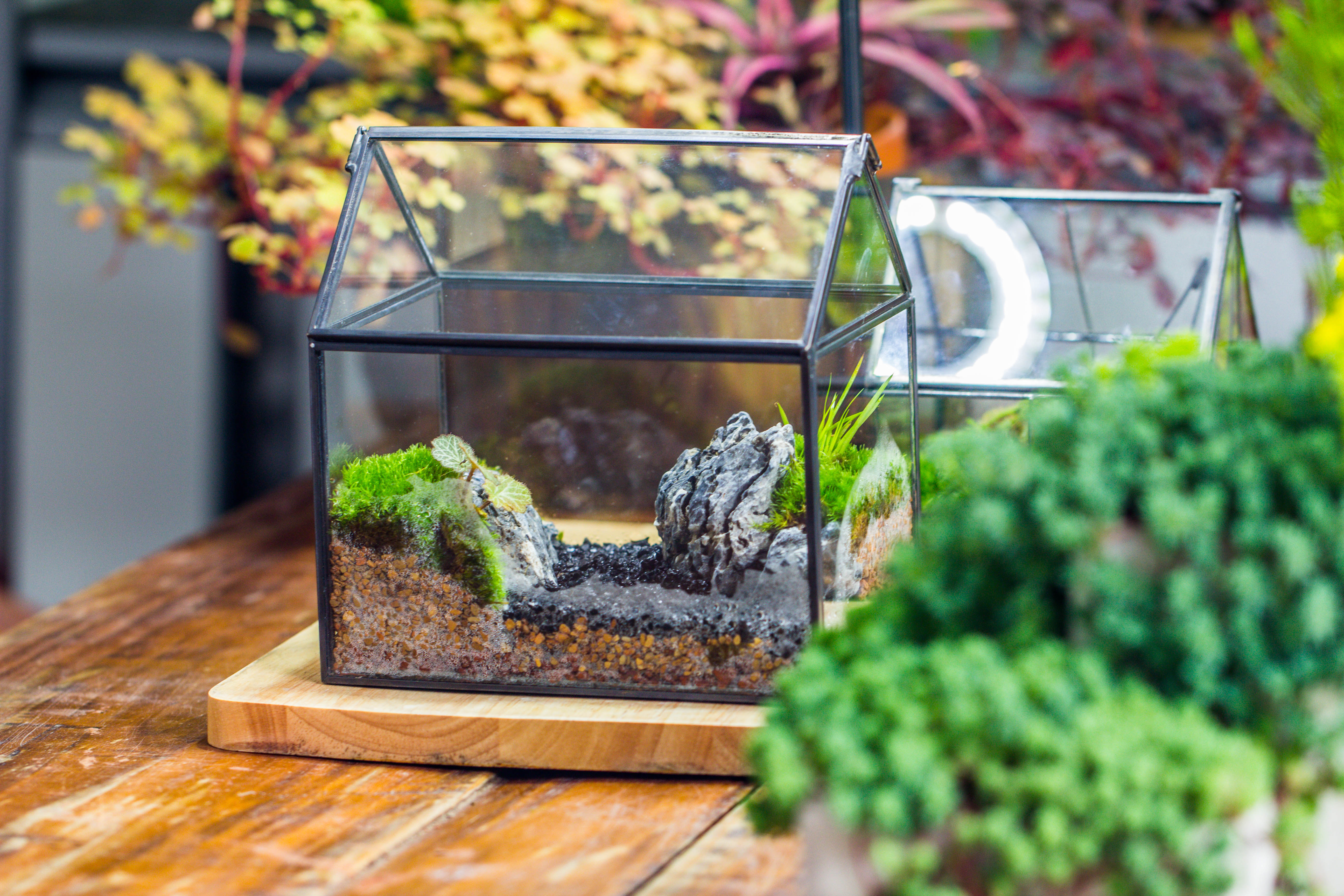 Handmade Black Copper House Shape Glass Geometric Terrarium Planter for Succulent Moss Airplants - NCYPgarden