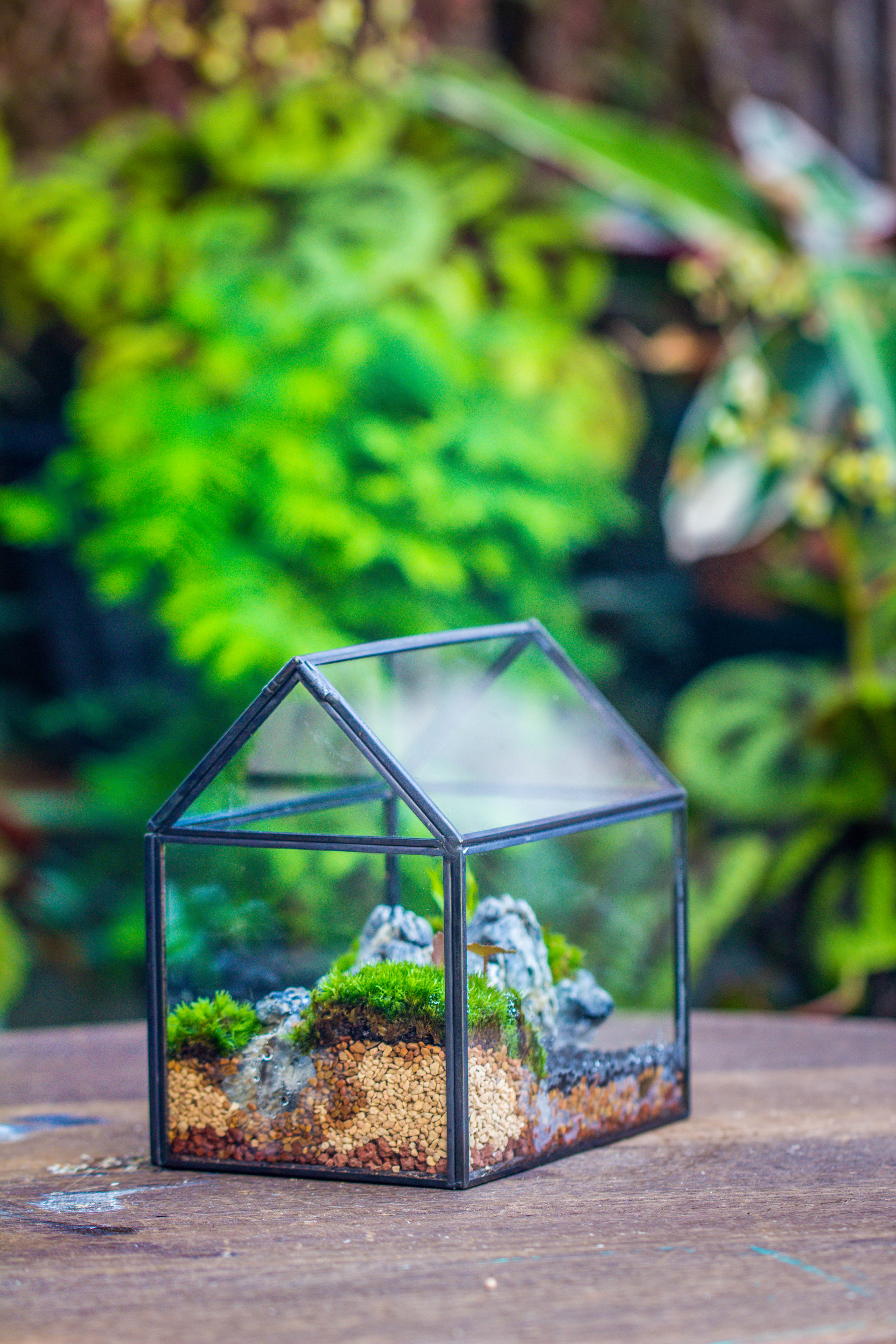 Handmade Black Copper House Shape Glass Geometric Terrarium Planter for Succulent Moss Airplants - NCYPgarden