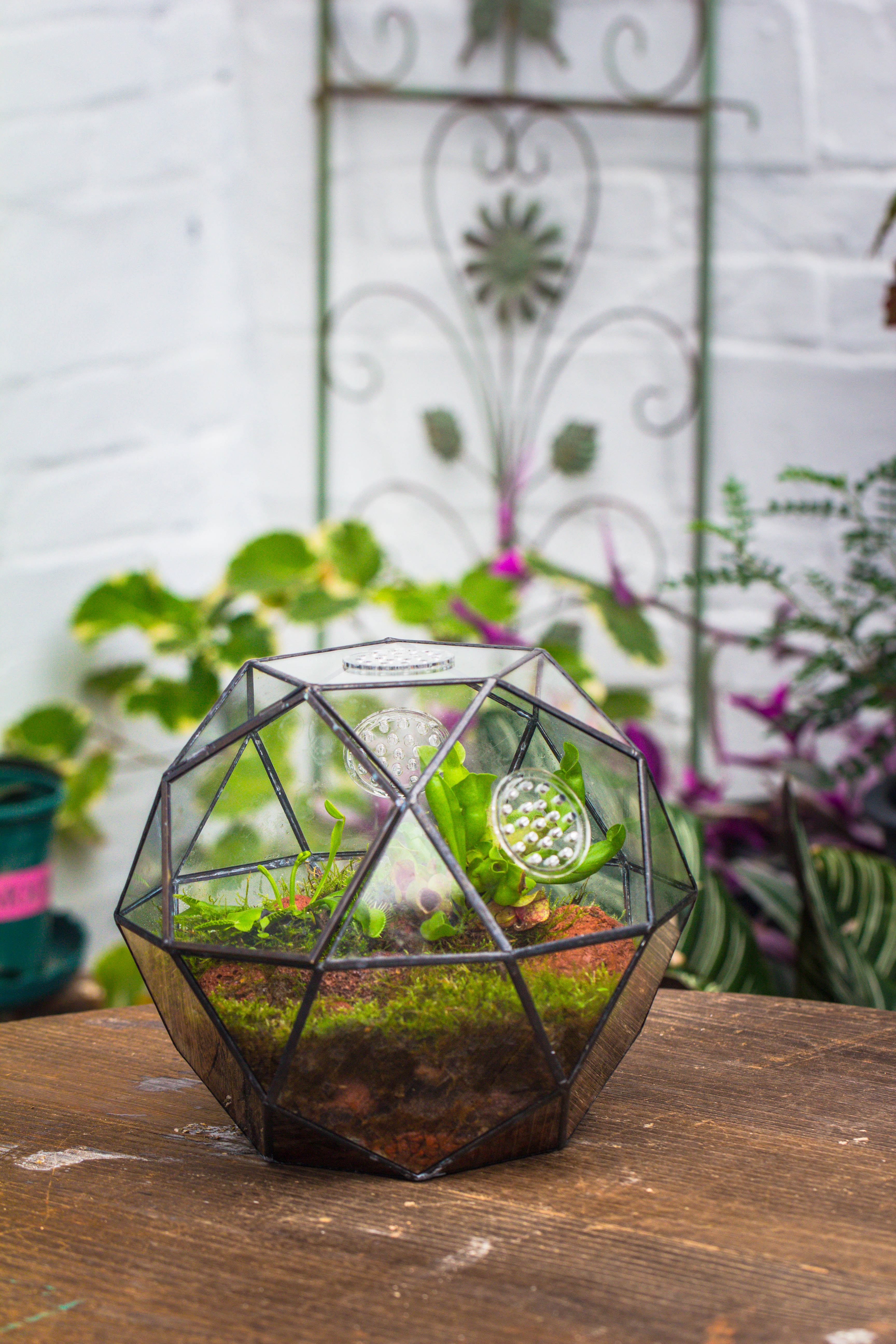 Handmade Close Triangular Pentagon Mix 32-Sides Clear Glass Geometric Centerpiece Terrarium for moss - NCYPgarden