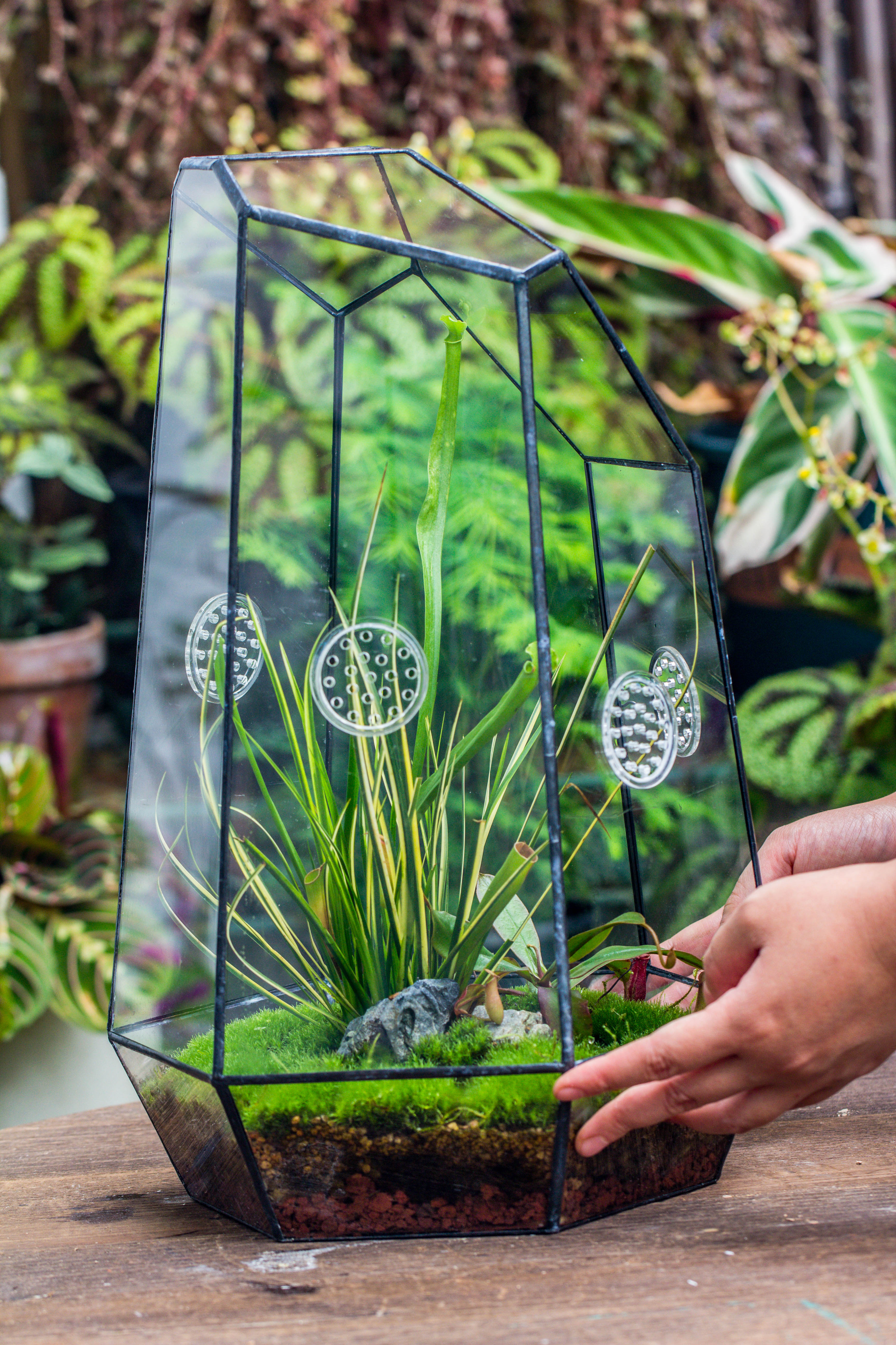 Handmade 41cm / 16" Tall IrregularGlass Geometric Terrarium Box with Vent - NCYPgarden