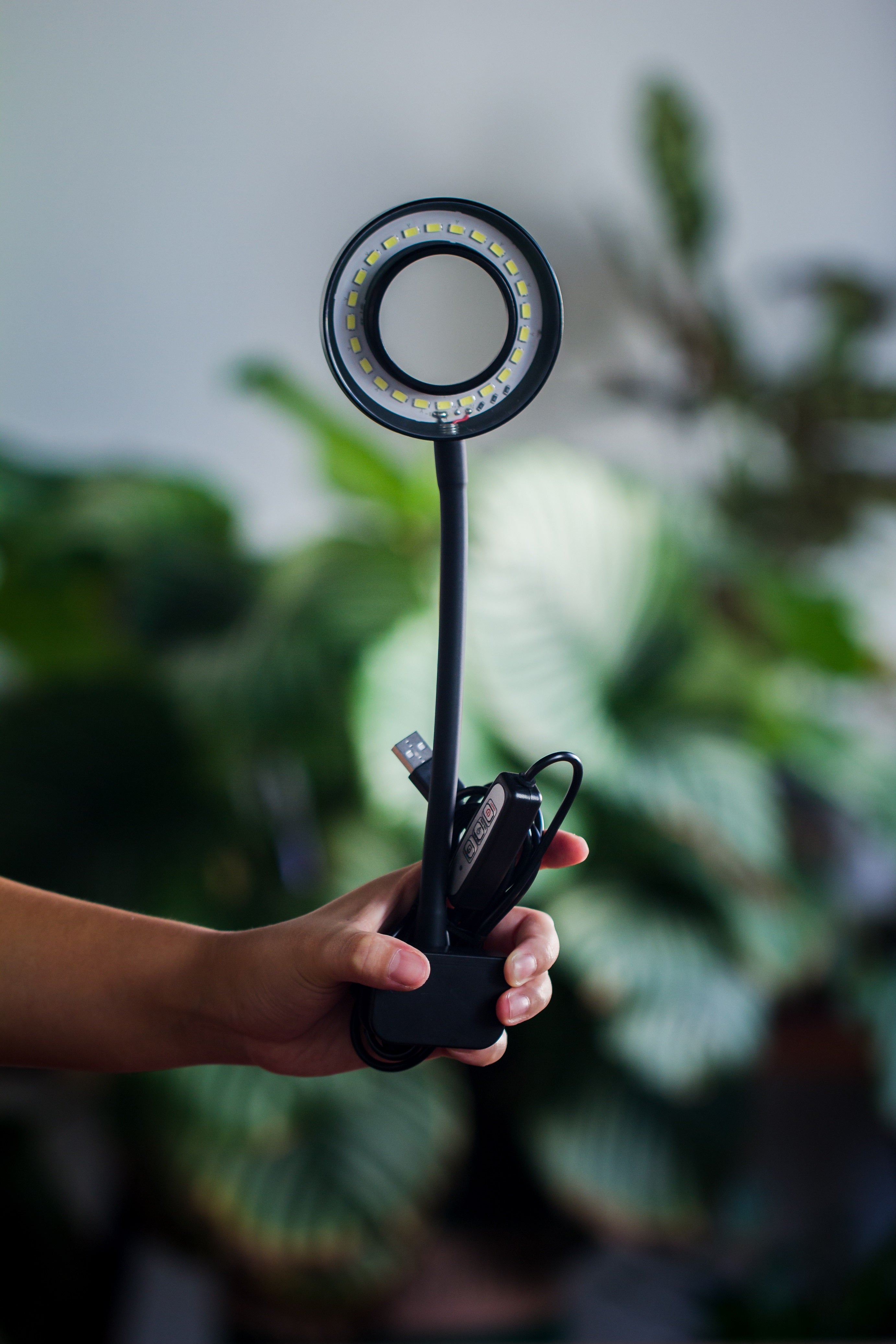 NCYP Clip Grow LED Light, gooseneck, USB, 10W, Display, Adjustable, for Succulents, Open Terrarium, Fish Tank, Moss, Fern, Tropical Plants - NCYPgarden