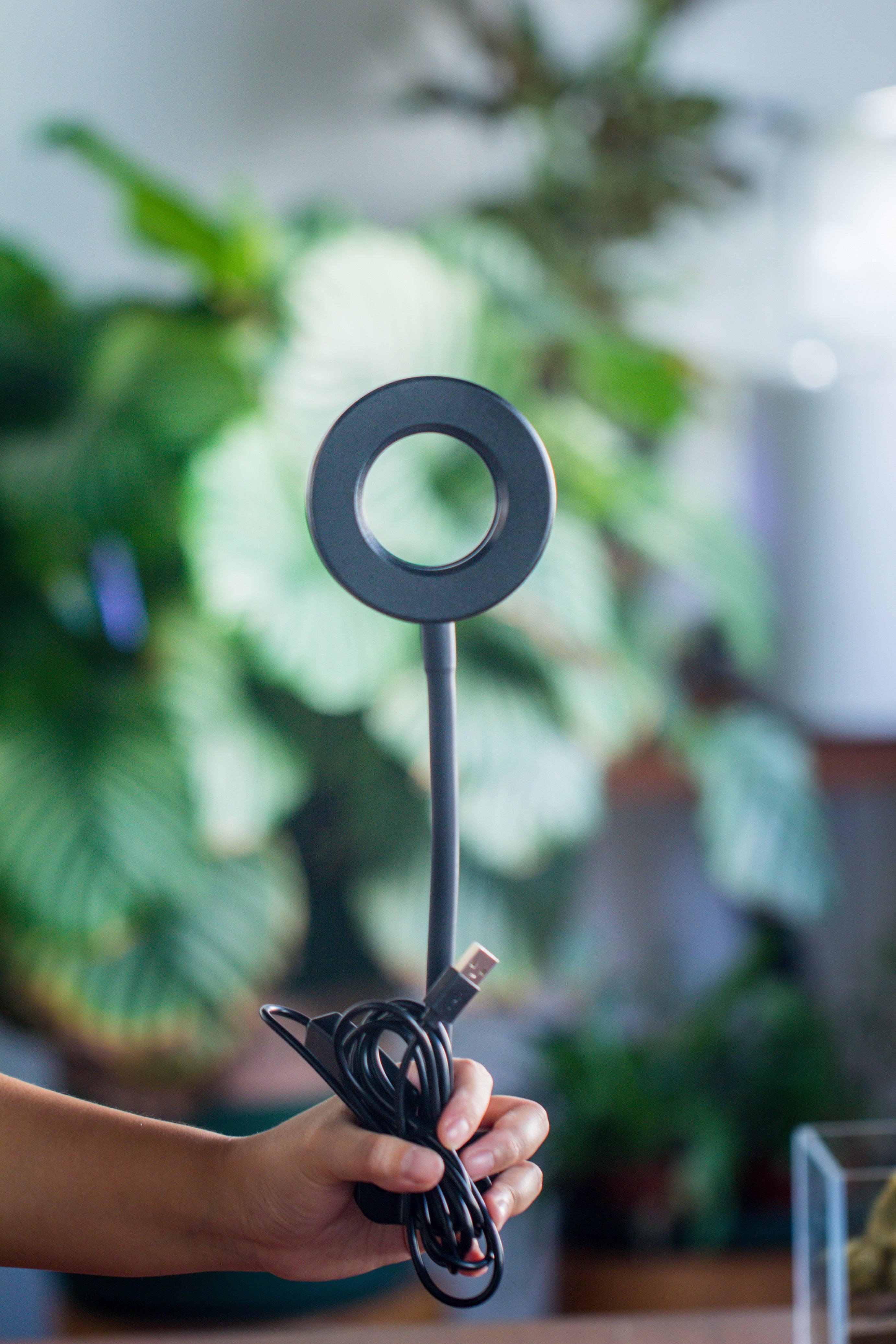 NCYP Clip Grow LED Light, gooseneck, USB, 10W, Display, Adjustable, for Succulents, Open Terrarium, Fish Tank, Moss, Fern, Tropical Plants - NCYPgarden