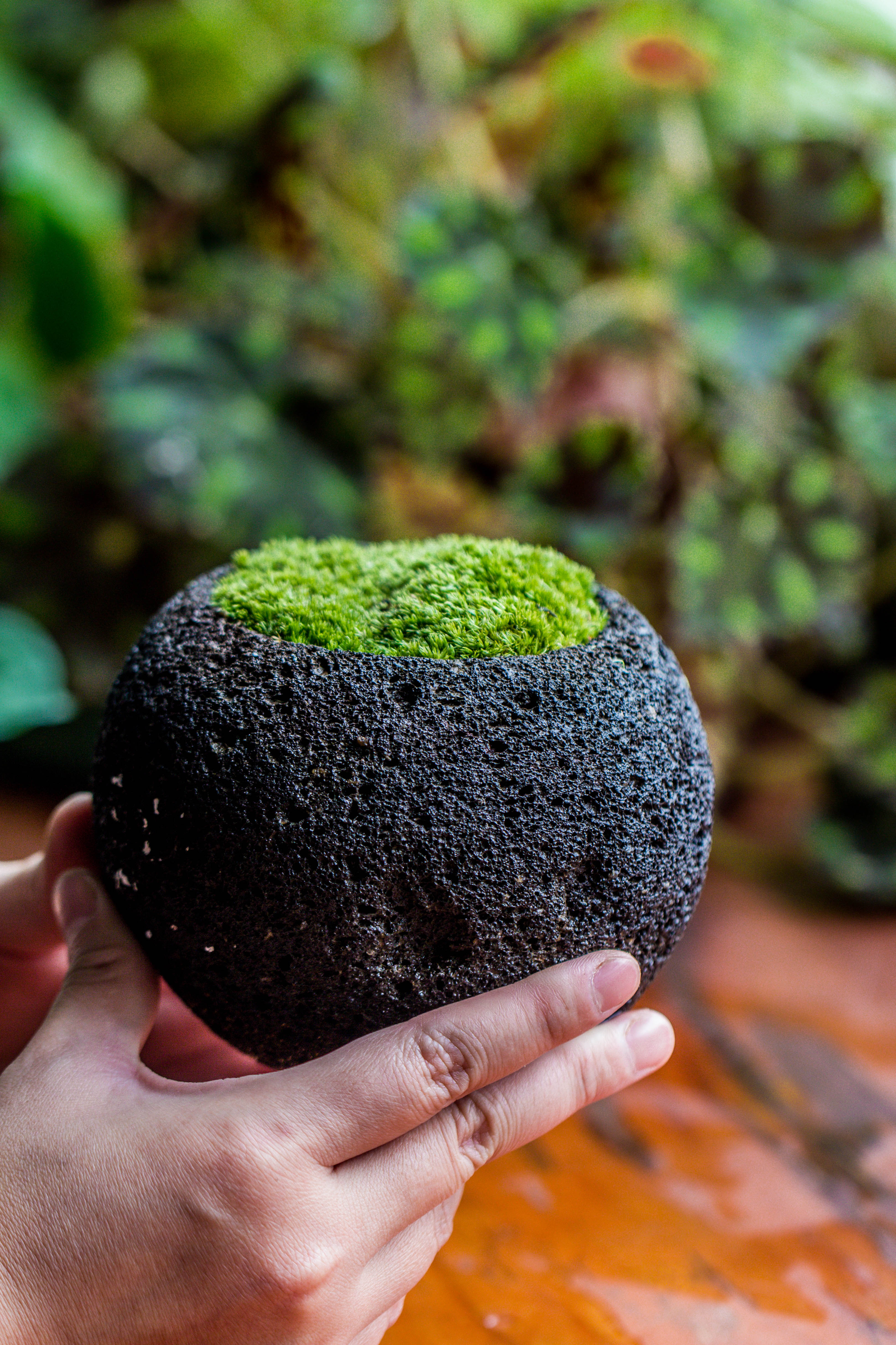 DIY set 12cm / 4.7" Round Horticultural Lava Rock Volcanic Rock Planter and moss planting kit - NCYPgarden