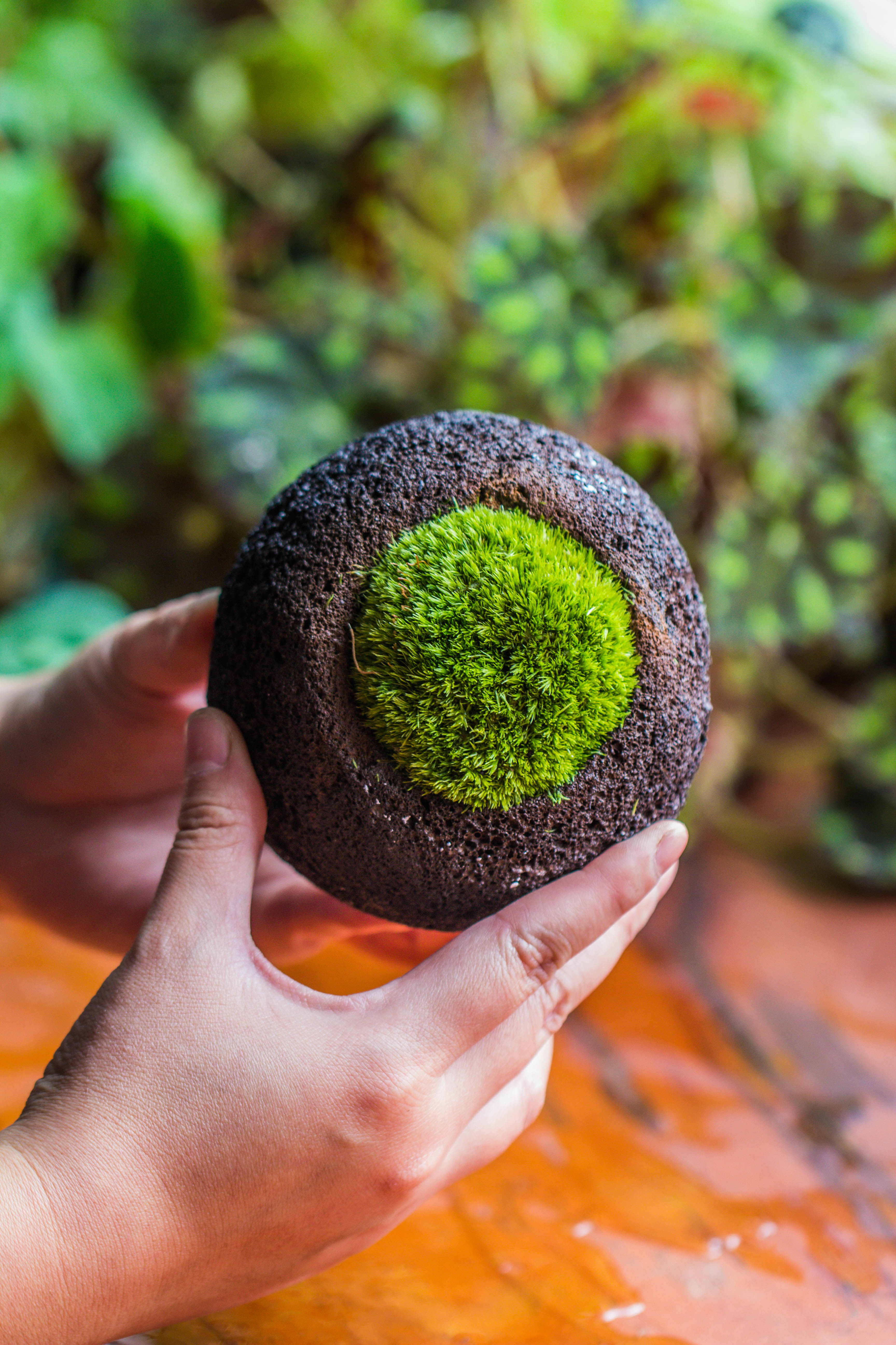 DIY set 10cm / 3.7" Round Horticultural Lava Rock Volcanic Rock Planterwith moss building kit - NCYPgarden