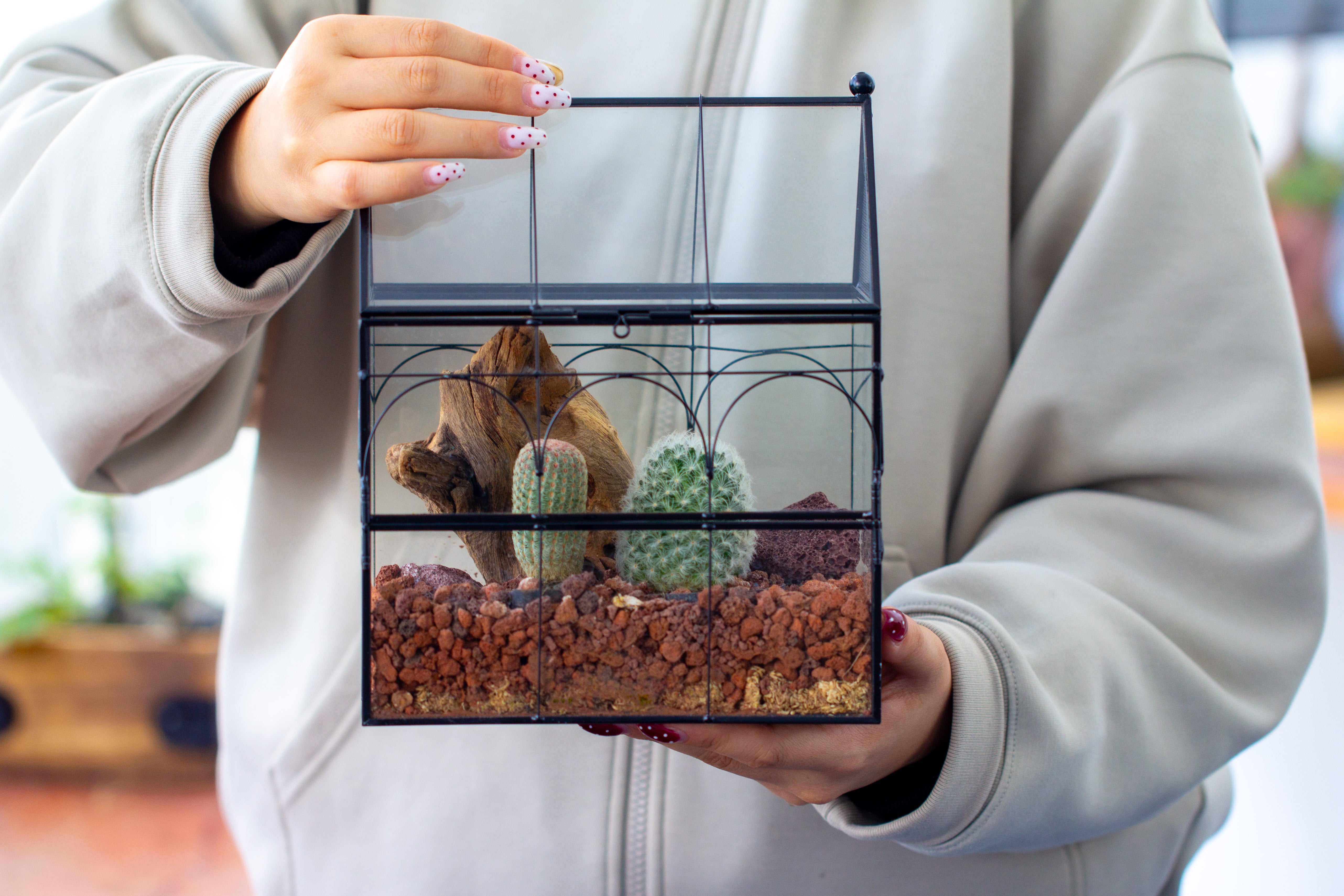 NCYP Vintage House Shape Stainless Steel Glass Geometric Terrarium, with side door, with Mesh / vent holes for small Insects Pet - NCYPgarden