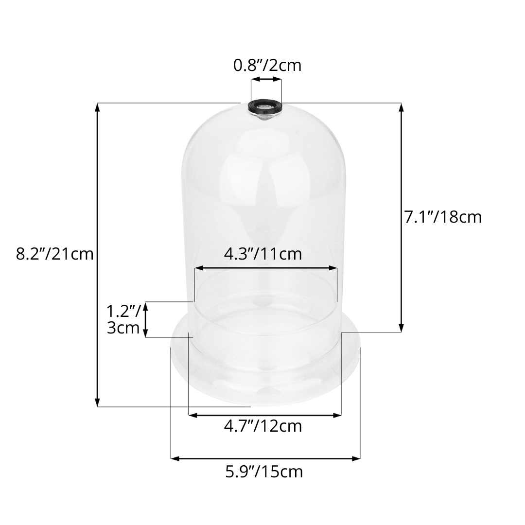 Glass Dome Cloche Set with Air Hole - 5.9 x 5.9 x 8.2" Indoor, suitable for southern, tropical area CD02G2 - NCYPgarden