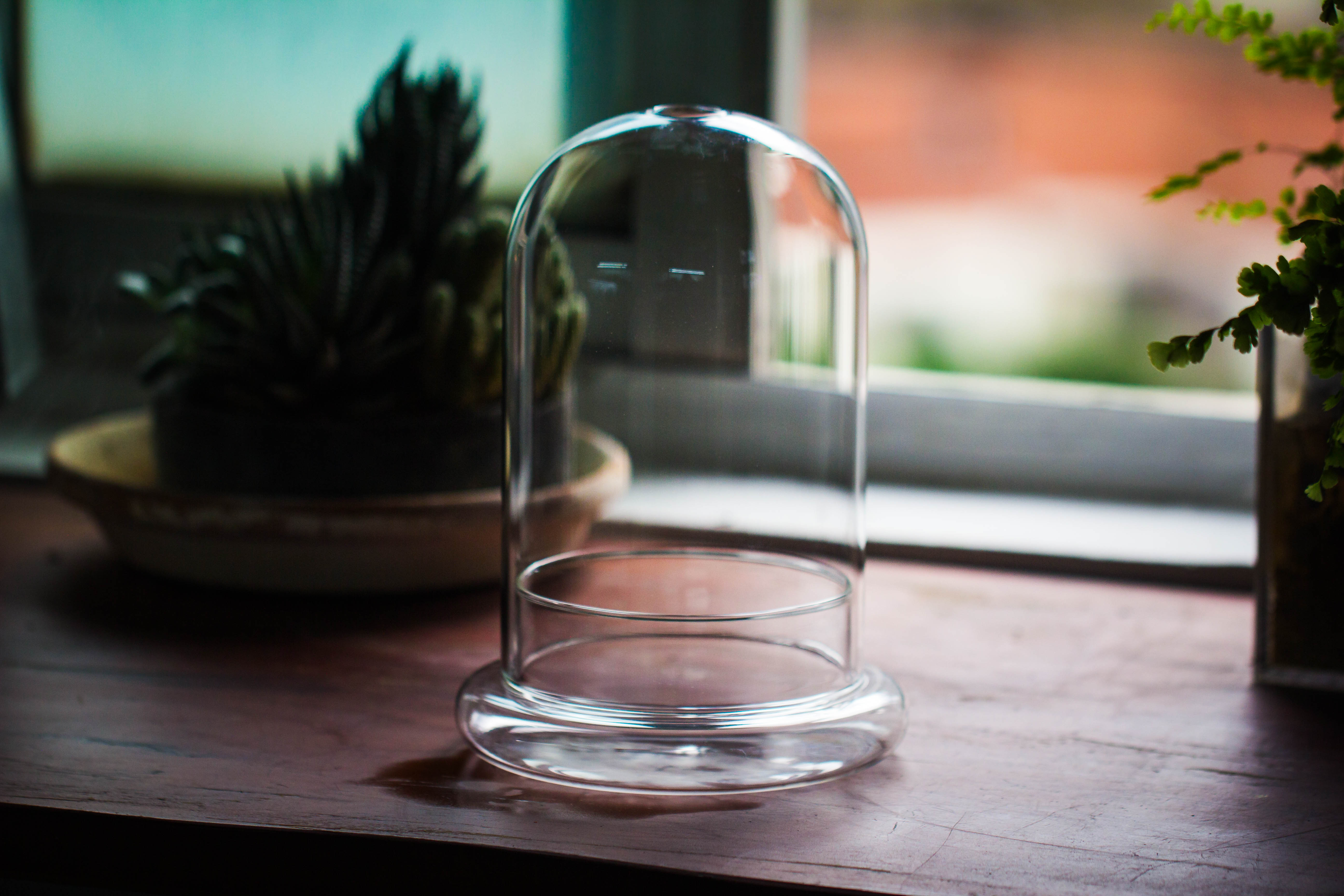 Glass Dome Cloche Set with Air Hole - 5.9 x 5.9 x 8.2" Indoor, suitable for southern, tropical area - NCYPgarden